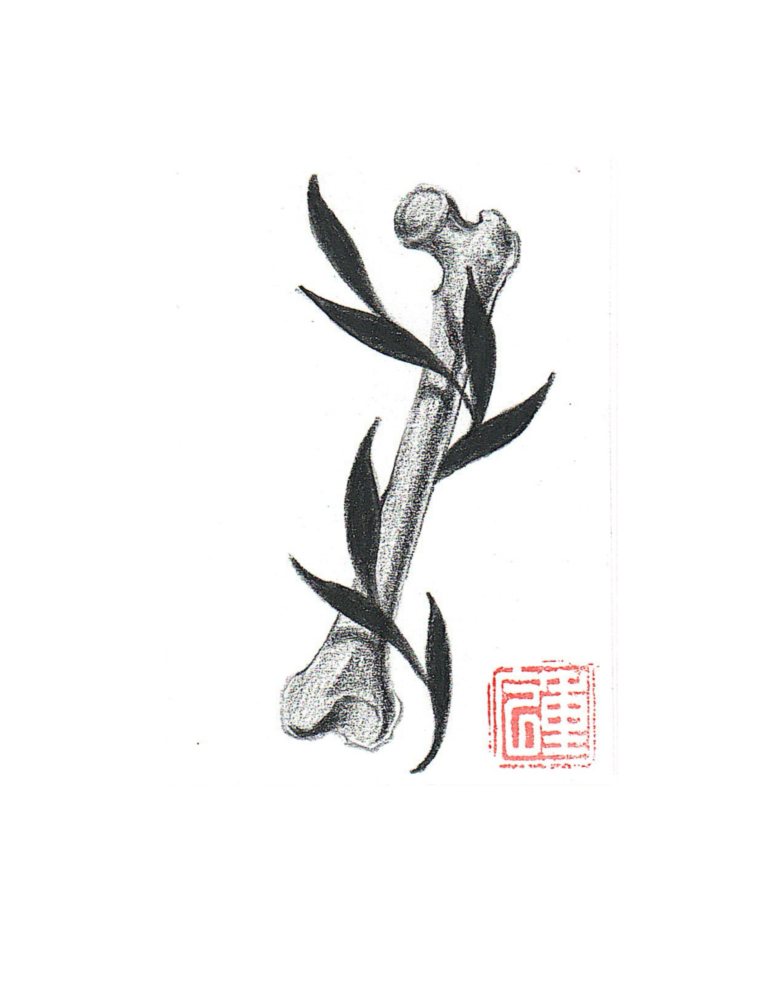 Black leaves and bone.png