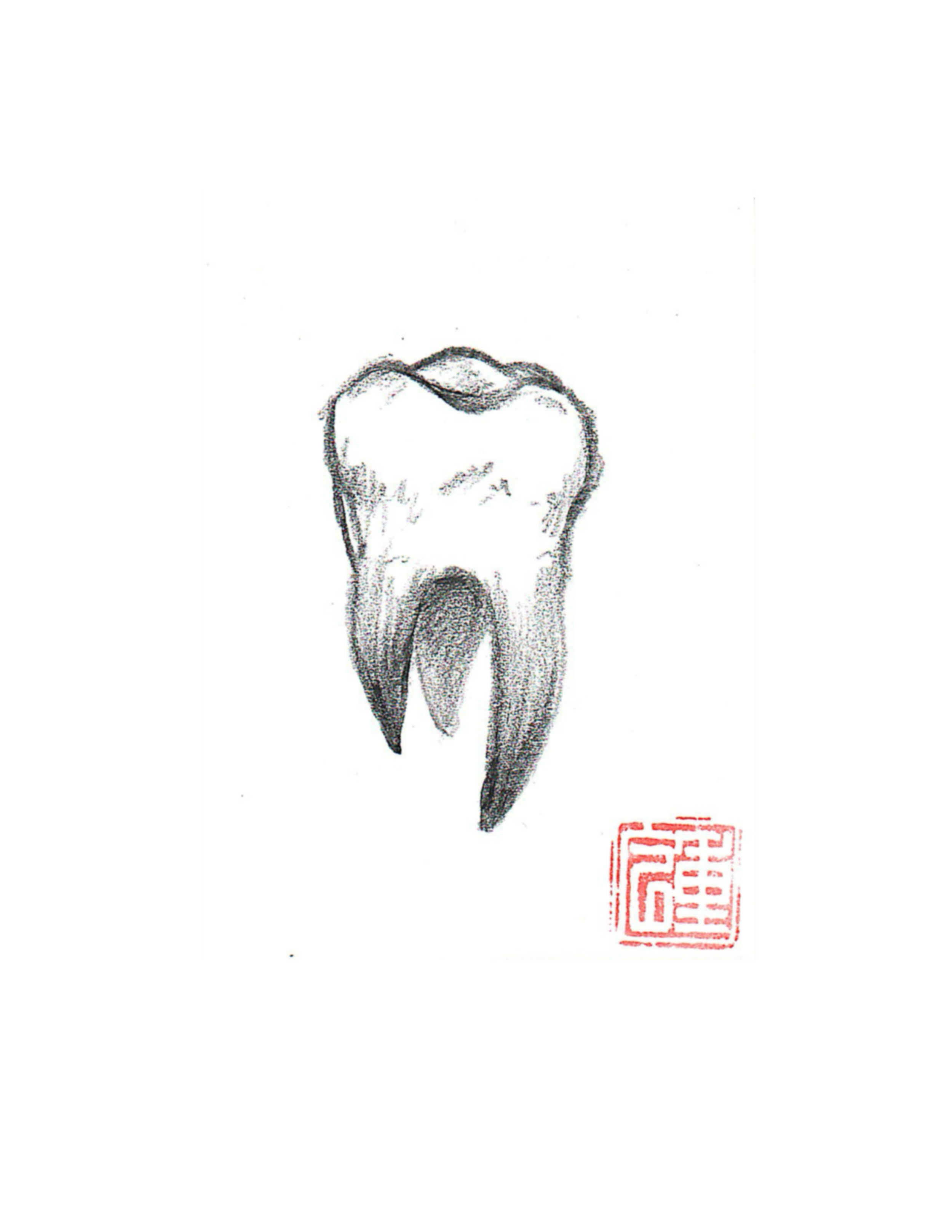 Tooth