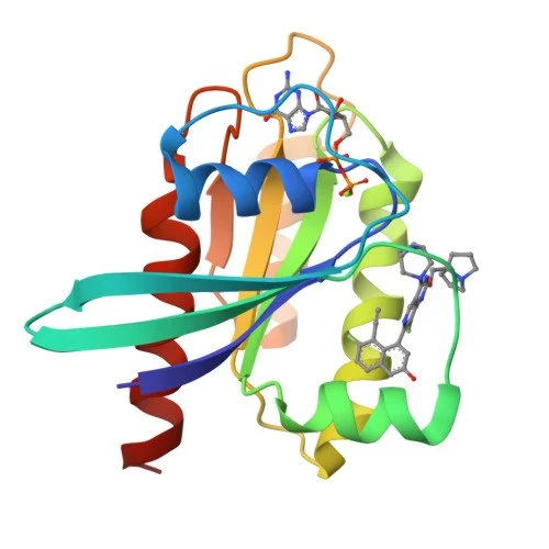 What we're looking forward to in 2026