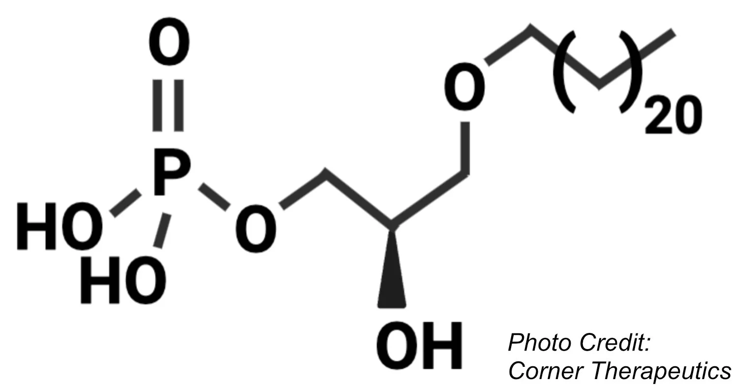 Watertown Journal Club - Improving Vaccine Immunogenicity with Corner Therapeutics 