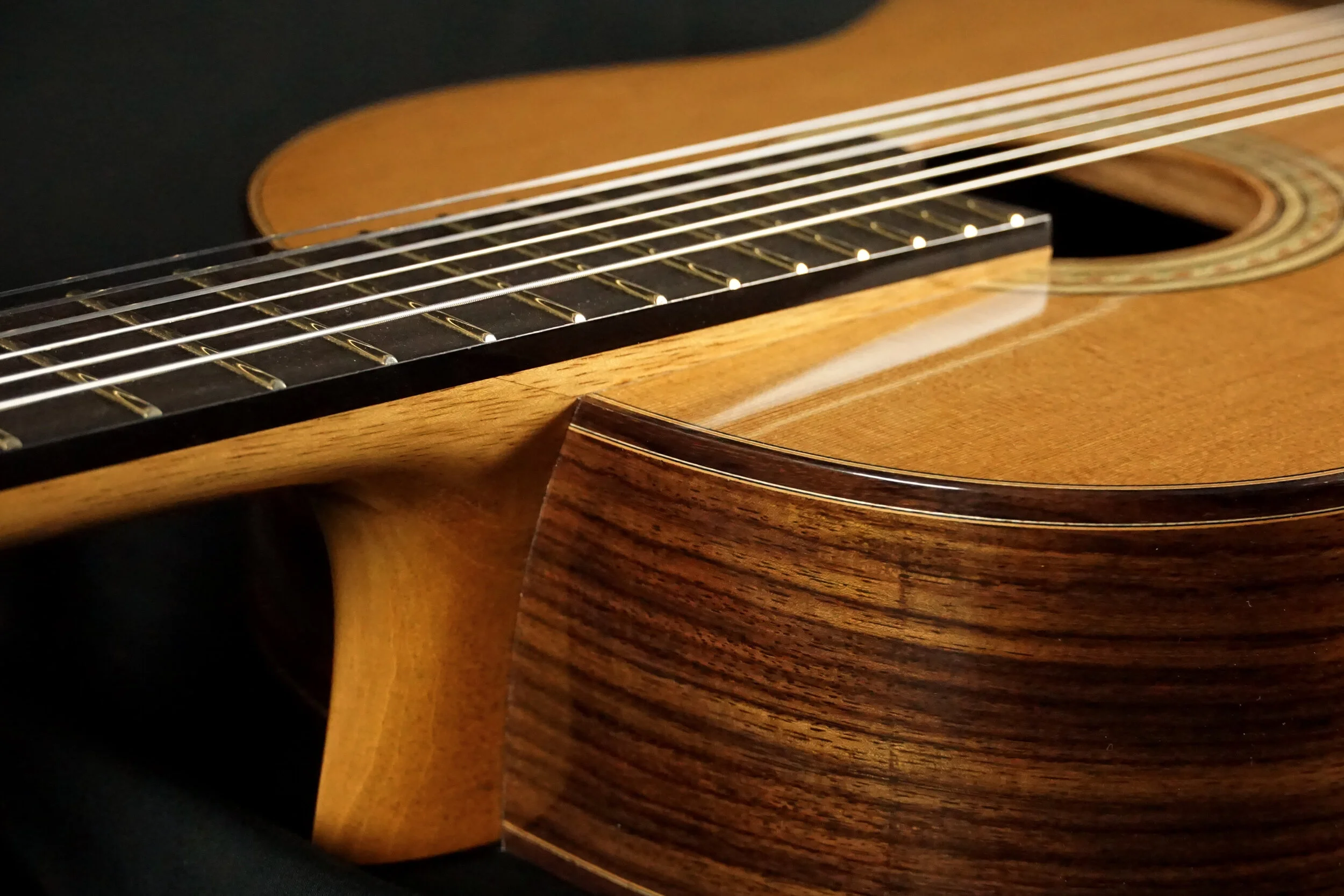 Elevated Fingerboard