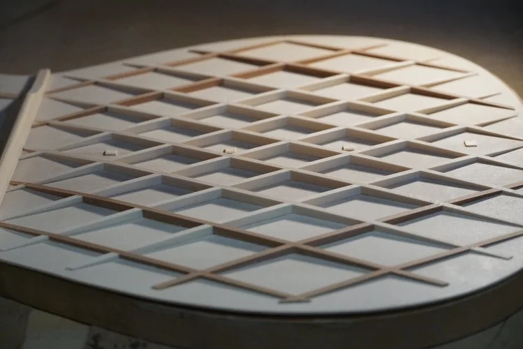 Guitar Lattice bracing.jpeg