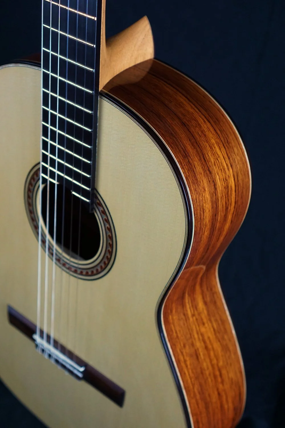 burmese rosewood classical guitar from the side.jpeg