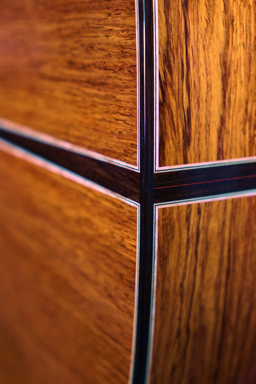 burmese rosewood guitar close up .jpeg