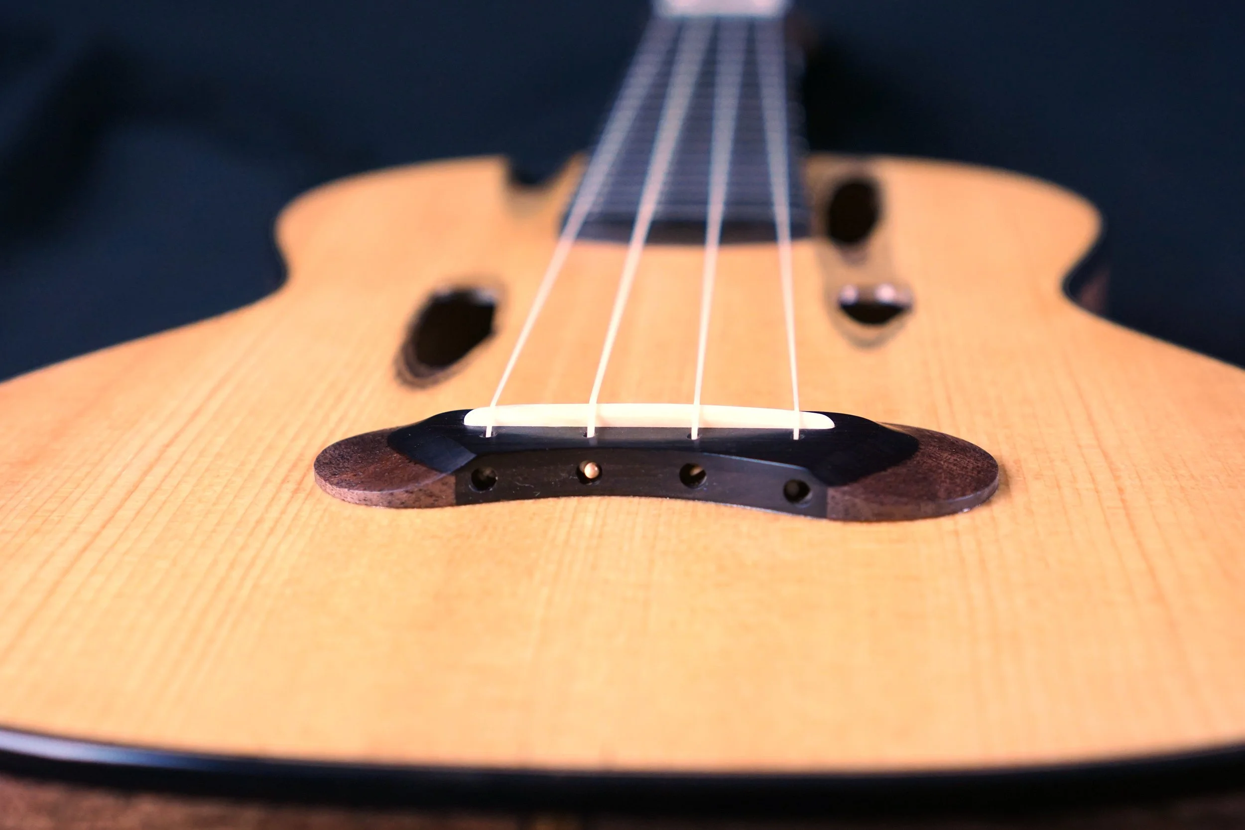 Shipworm Uke from bottom.jpeg