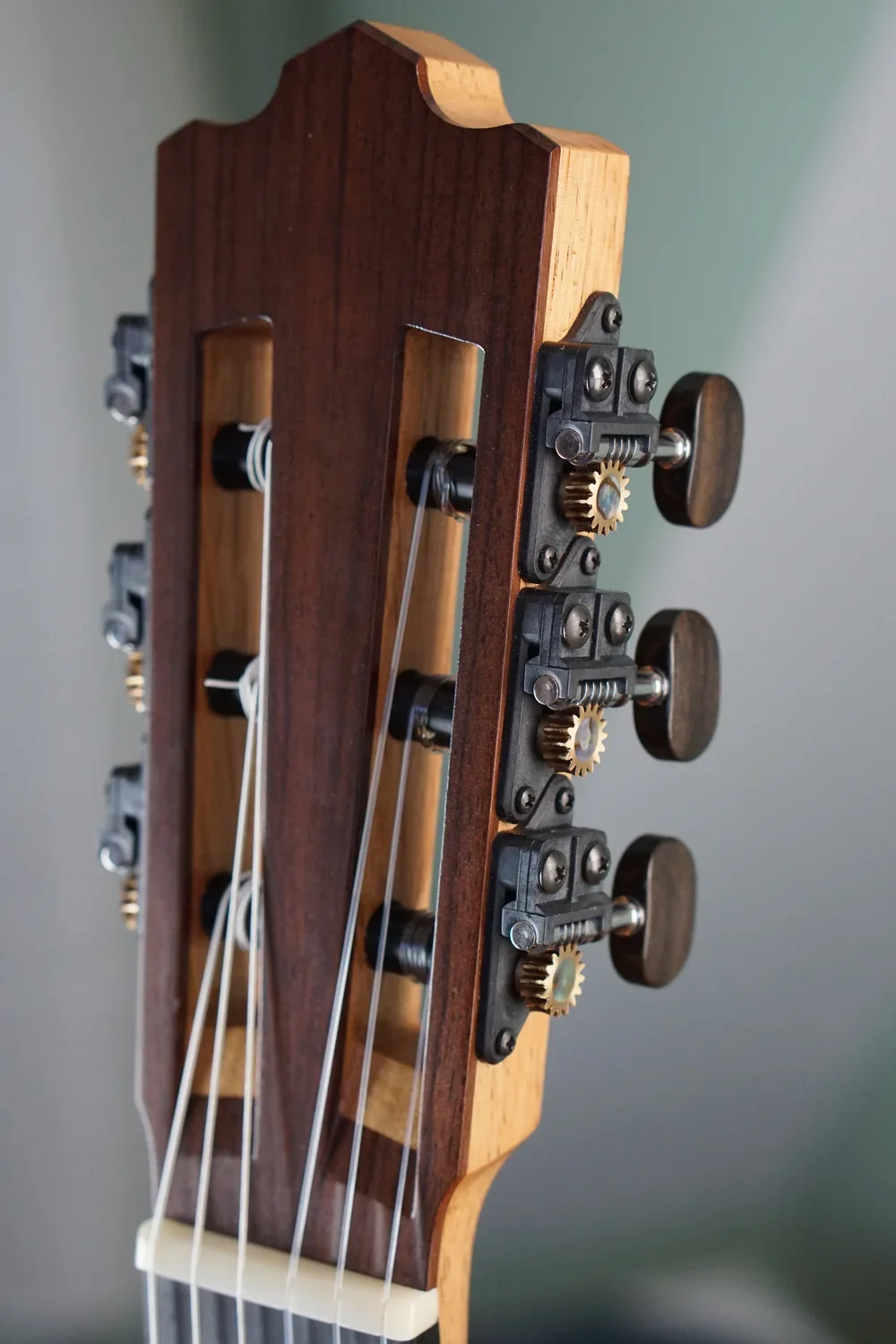 Guitar Headstock with BlackTuners.webp