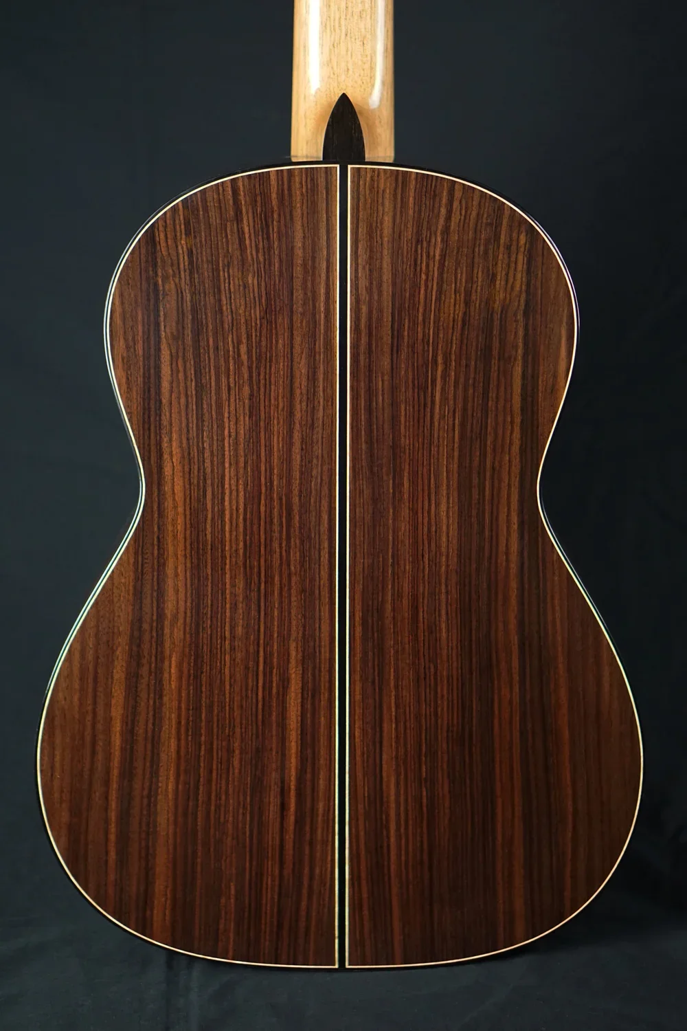 Rear of East Indian Rosewood Guitar.webp
