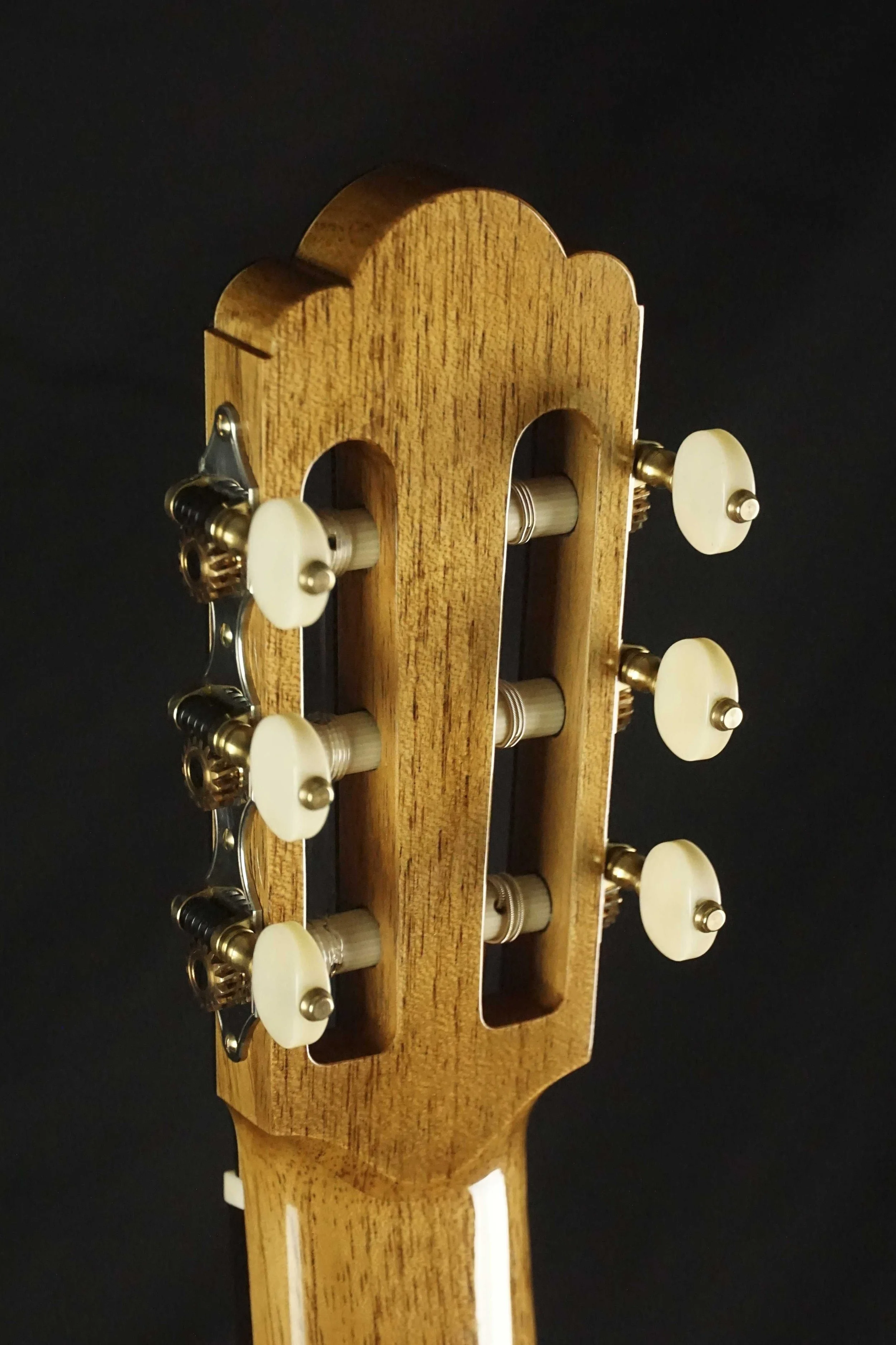Hauser Headstock Back Detail