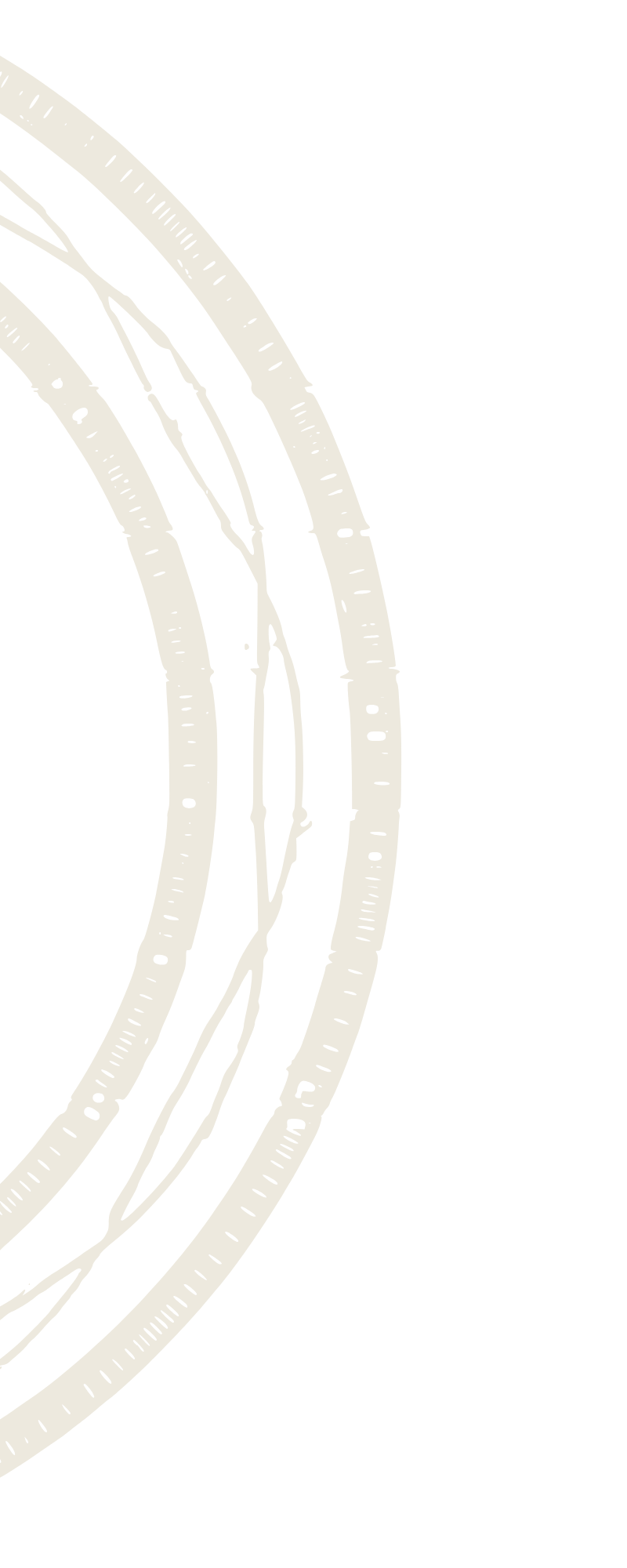 Sketch of classical guitar rosette.