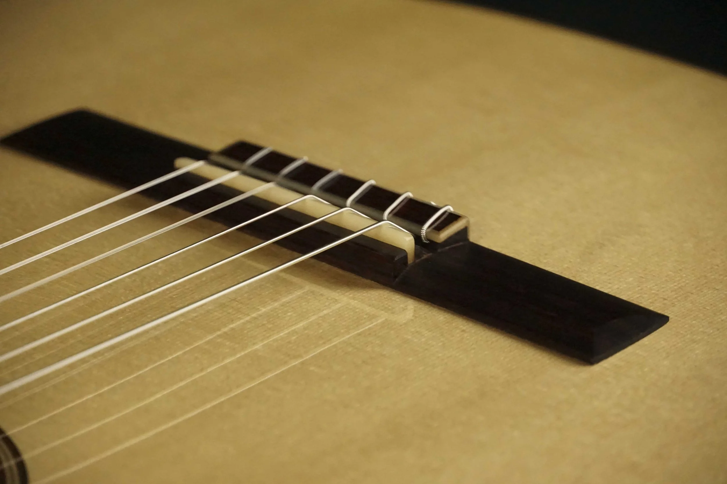 Guitar bridge angle natural bone saddle and tieblock