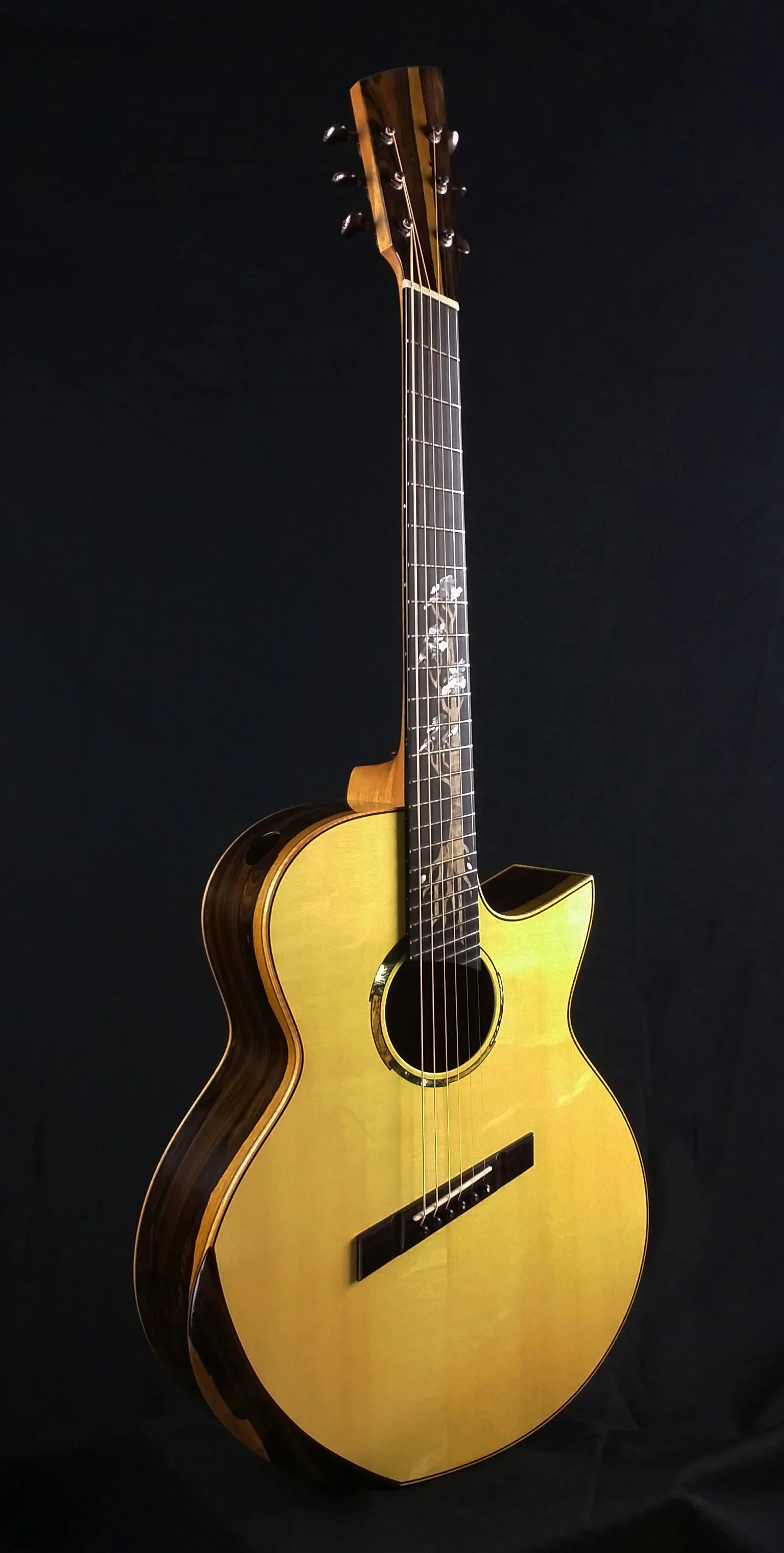 Multi Scale steel string guitar on black background.