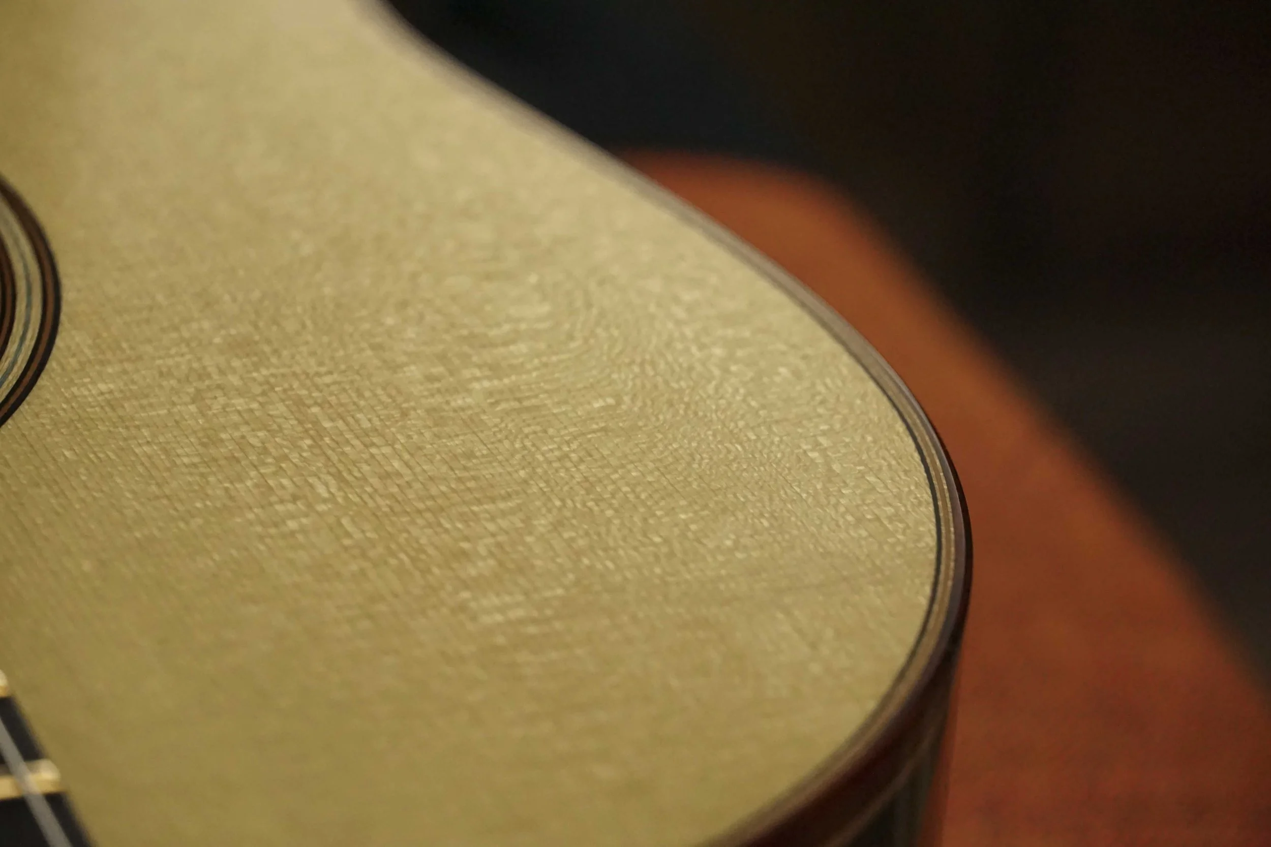 closeup european spruce top