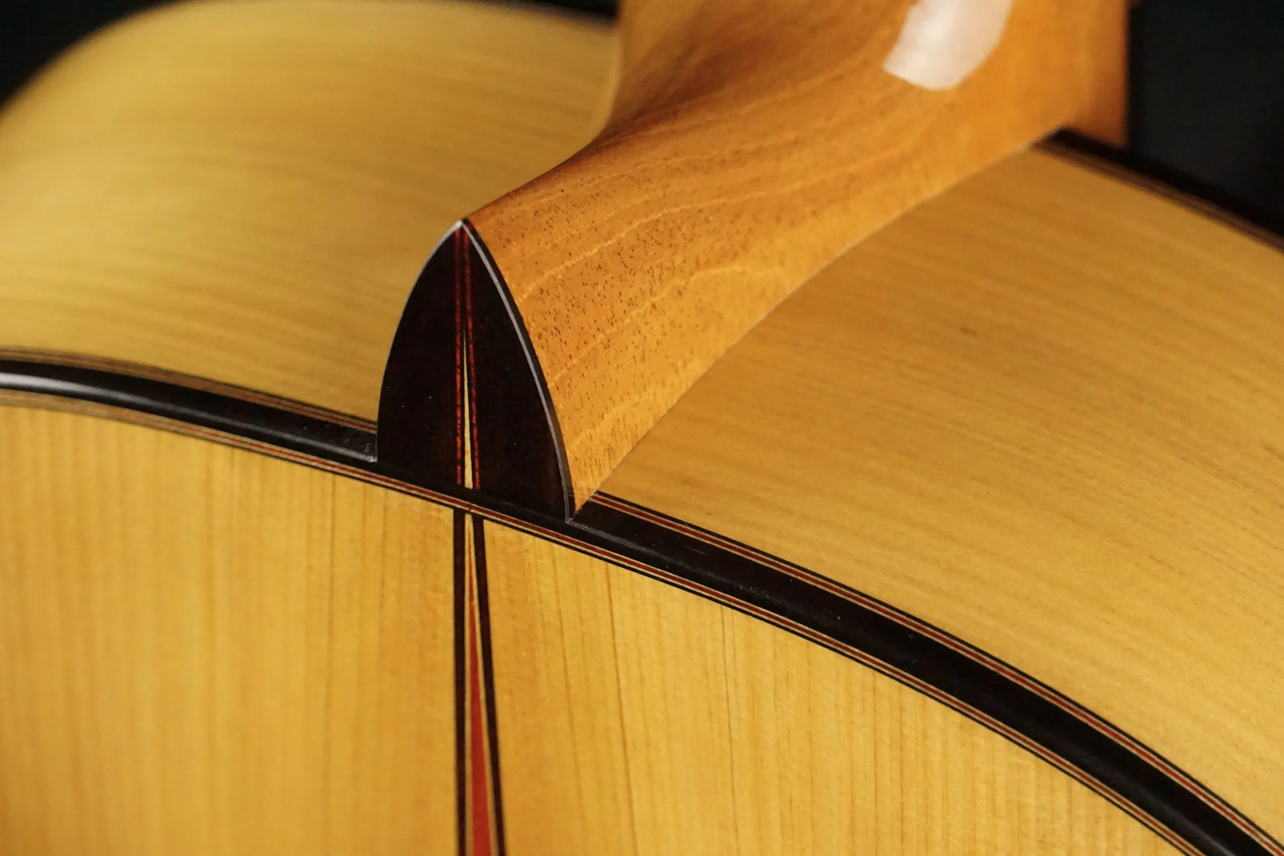 Mediterranean Cypress heel detail
