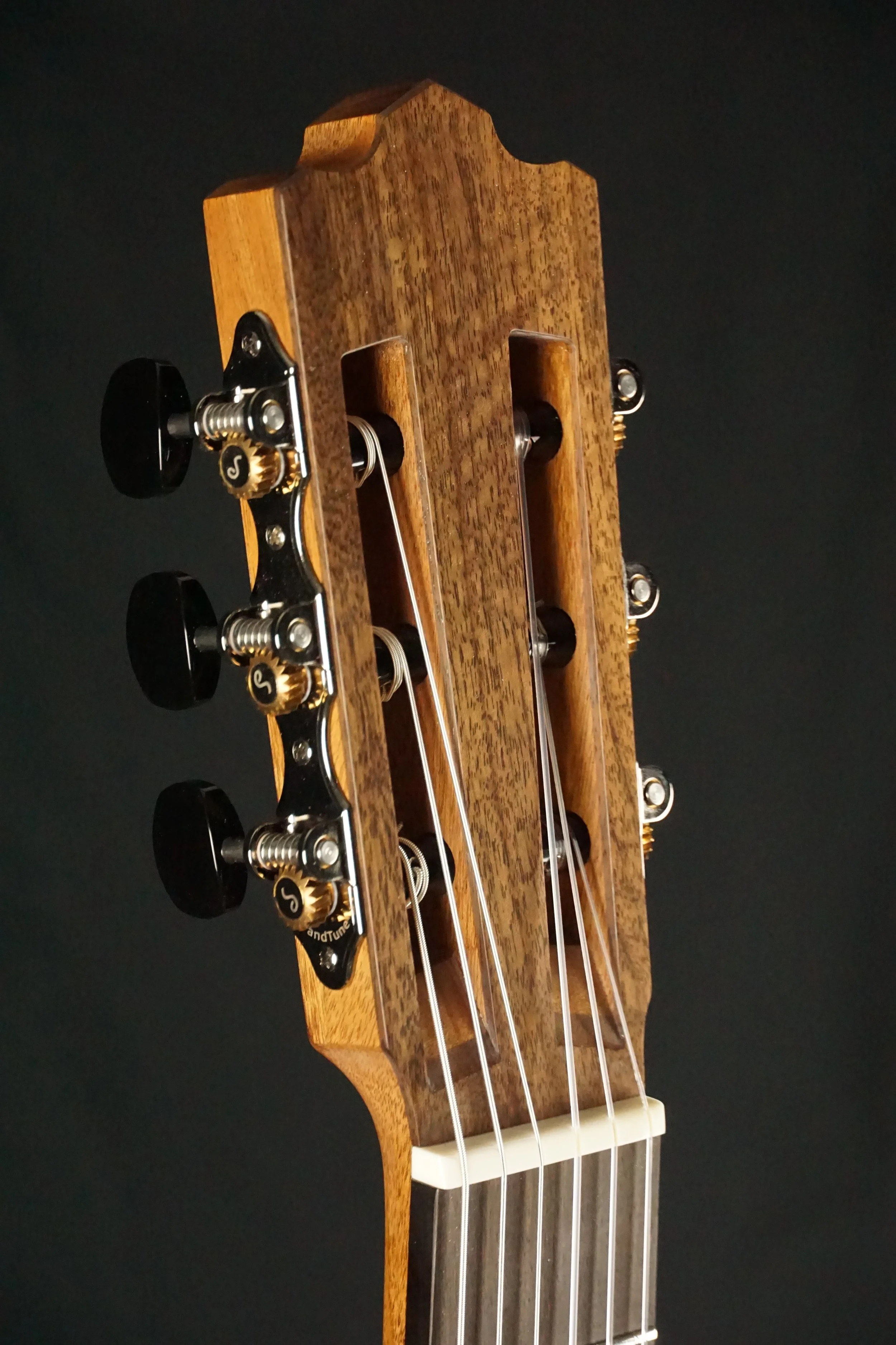 Spartan model with Walnut headstock