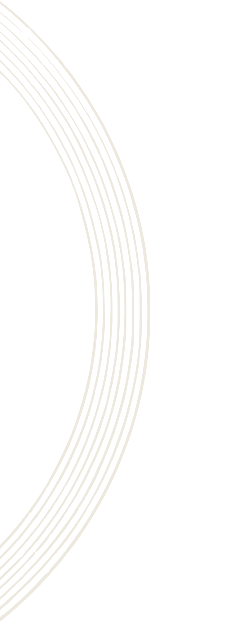 Sketch of classical guitar rosette.