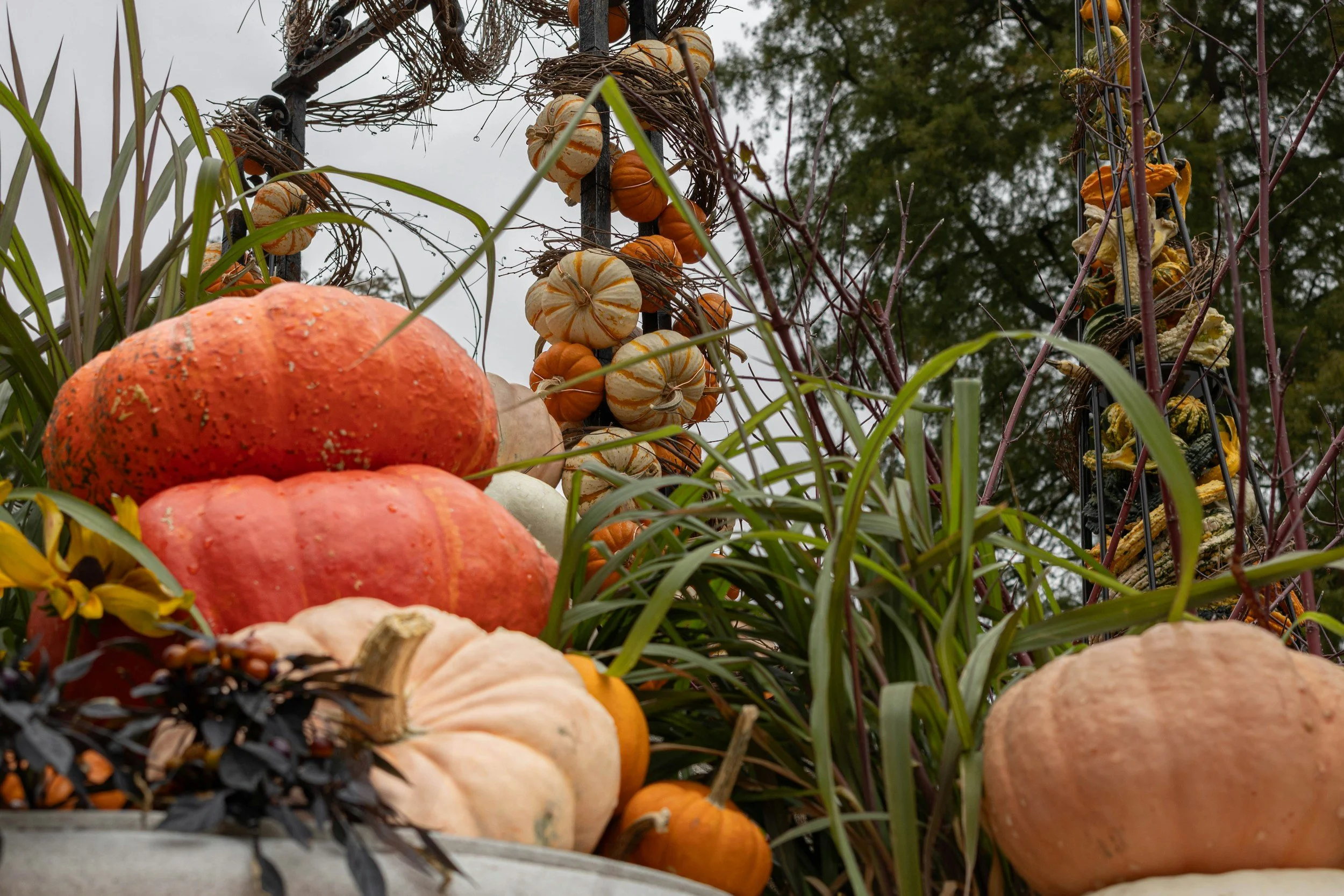 Harvest Festival Float