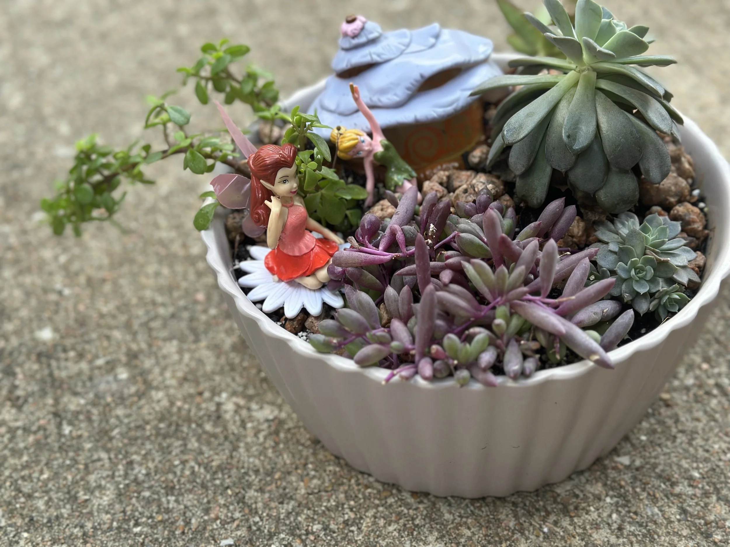 🧚‍♀️ Whispering Garden