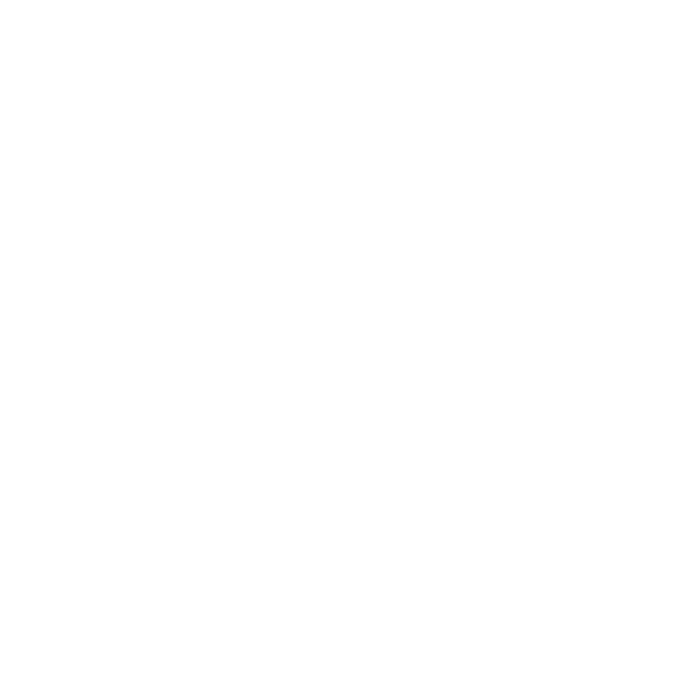 A stylized icon of a hand holding a spray bottle, with the text 'Salt + Bug Remover' below.