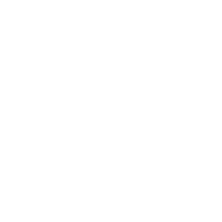 White silhouette of a small car with stars around it, and the text 'Triple Shine Rinse' below.