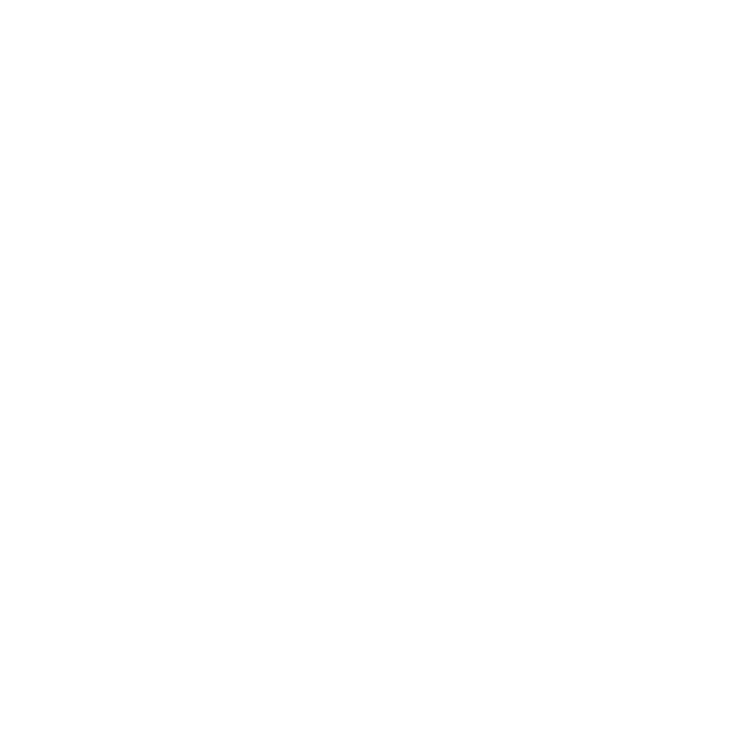 A graphic of a car with foam and bubbles around it, labeled "Foam Cannon + Pink Foam".