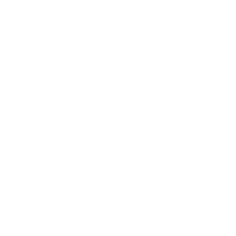 A graphic depiction of a hand holding a natural fiber brush with the text 'Natural Fibre Brushes' below.