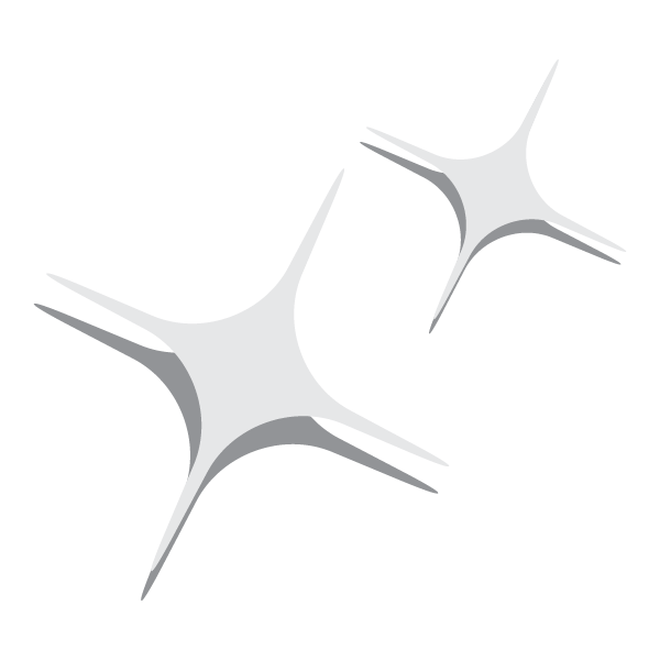 Two stylized, silver stars with pointed edges on a white background.