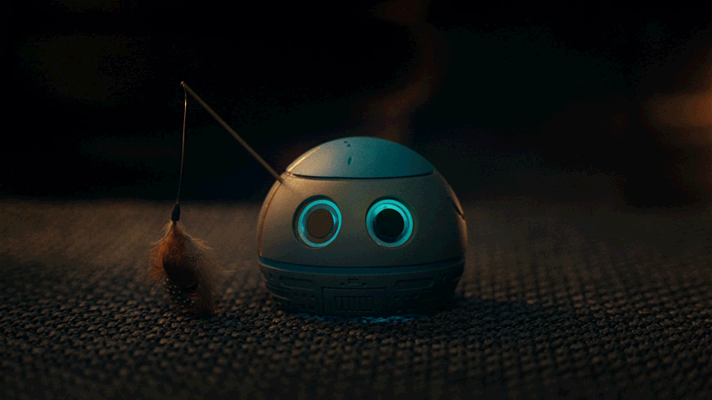 All They Want Is Sheba