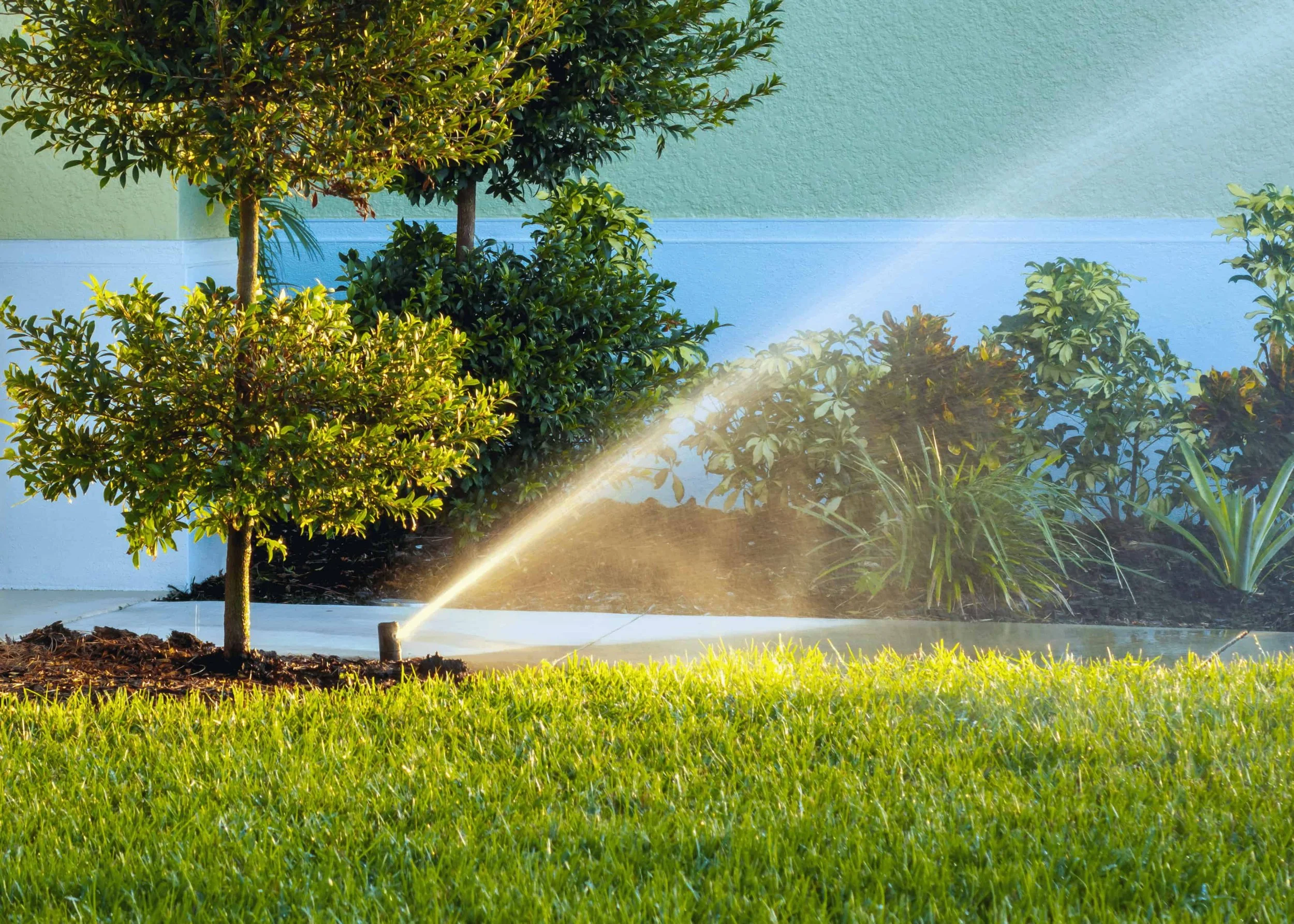 A garden with well-maintained grass, small trees, bushes with green leaves, and a sprinkler watering the plants on a sunny day.