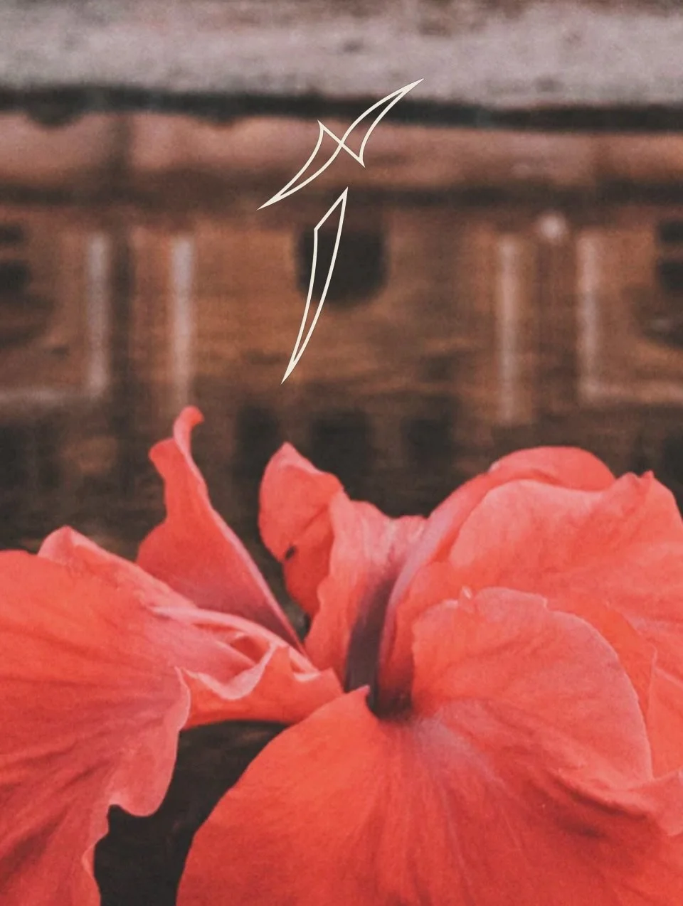 We are launching our first webshop soon! Click the link in bio to sign up🤎