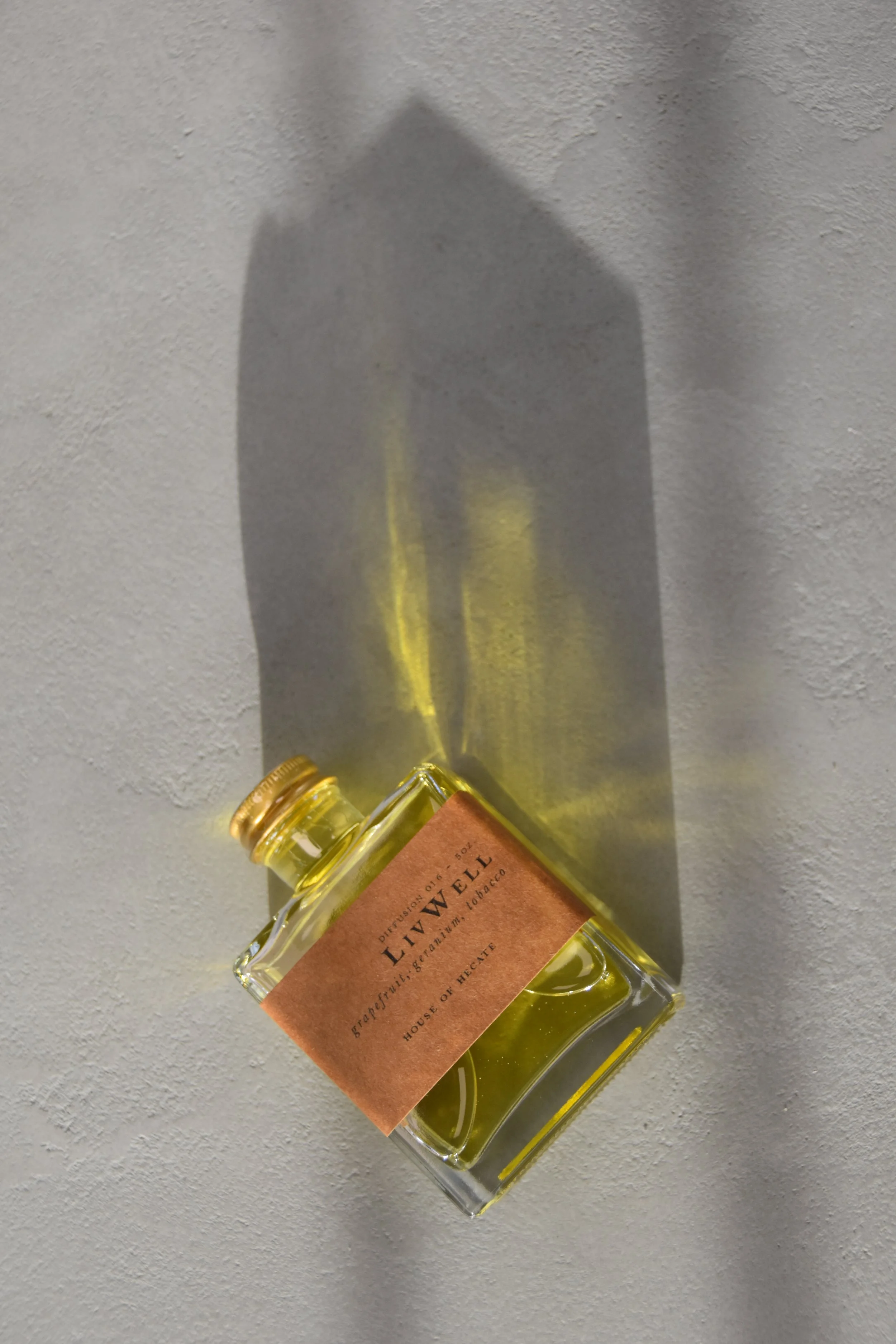 Copy of DSC_0124.JPG