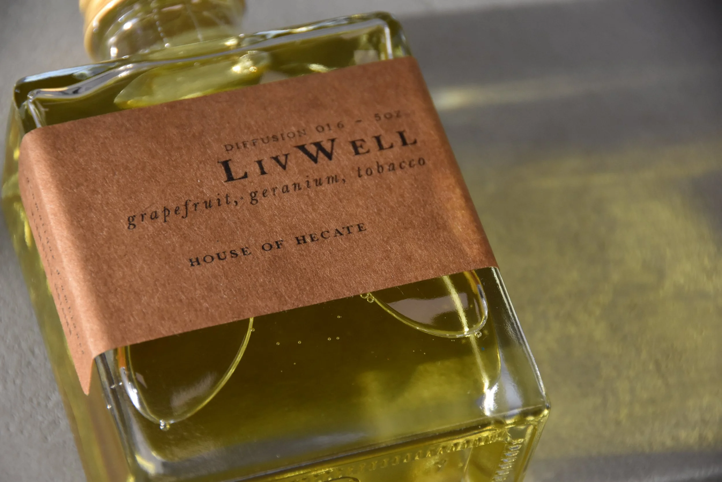 Copy of DSC_0128.JPG