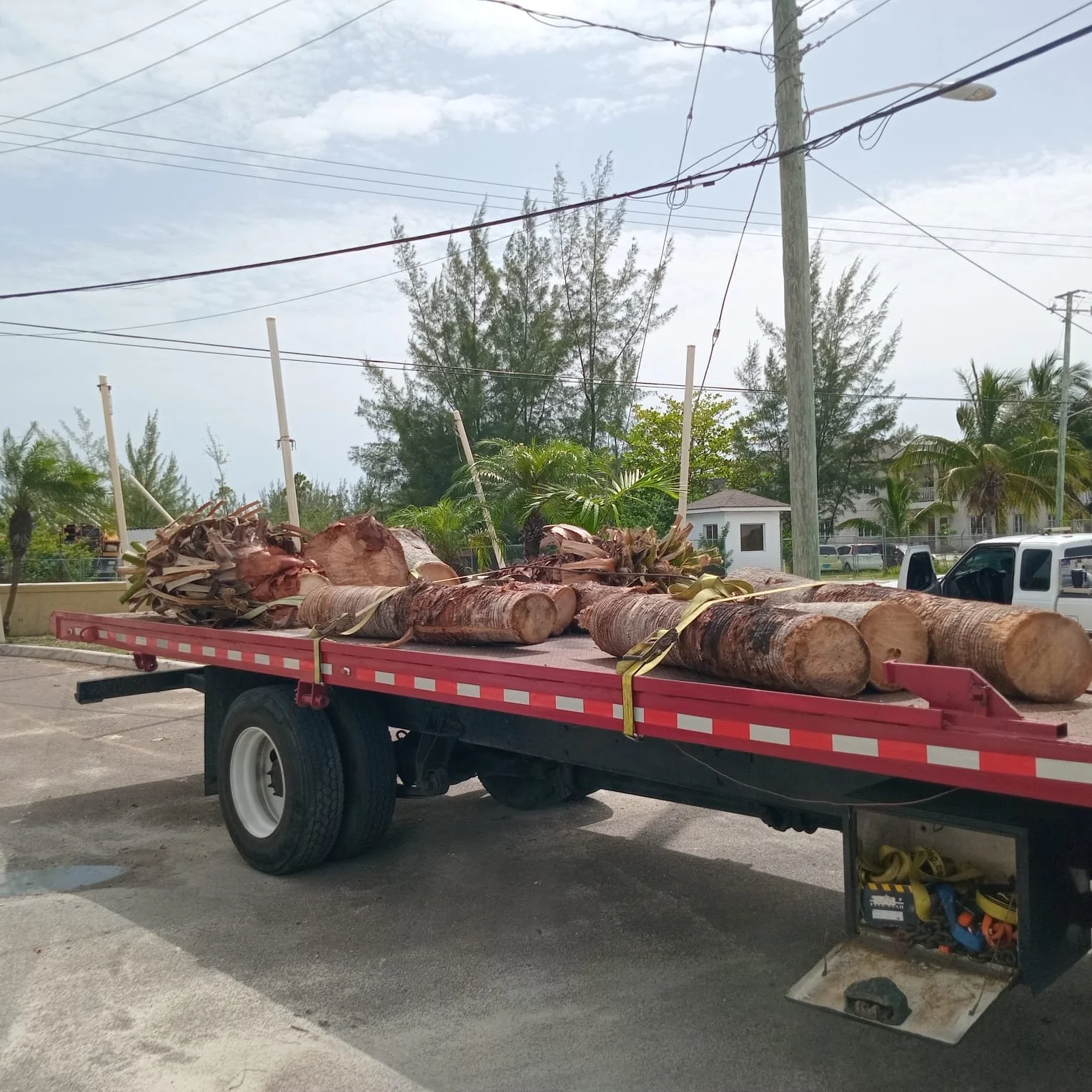 TLL Logs on Truck .jpg