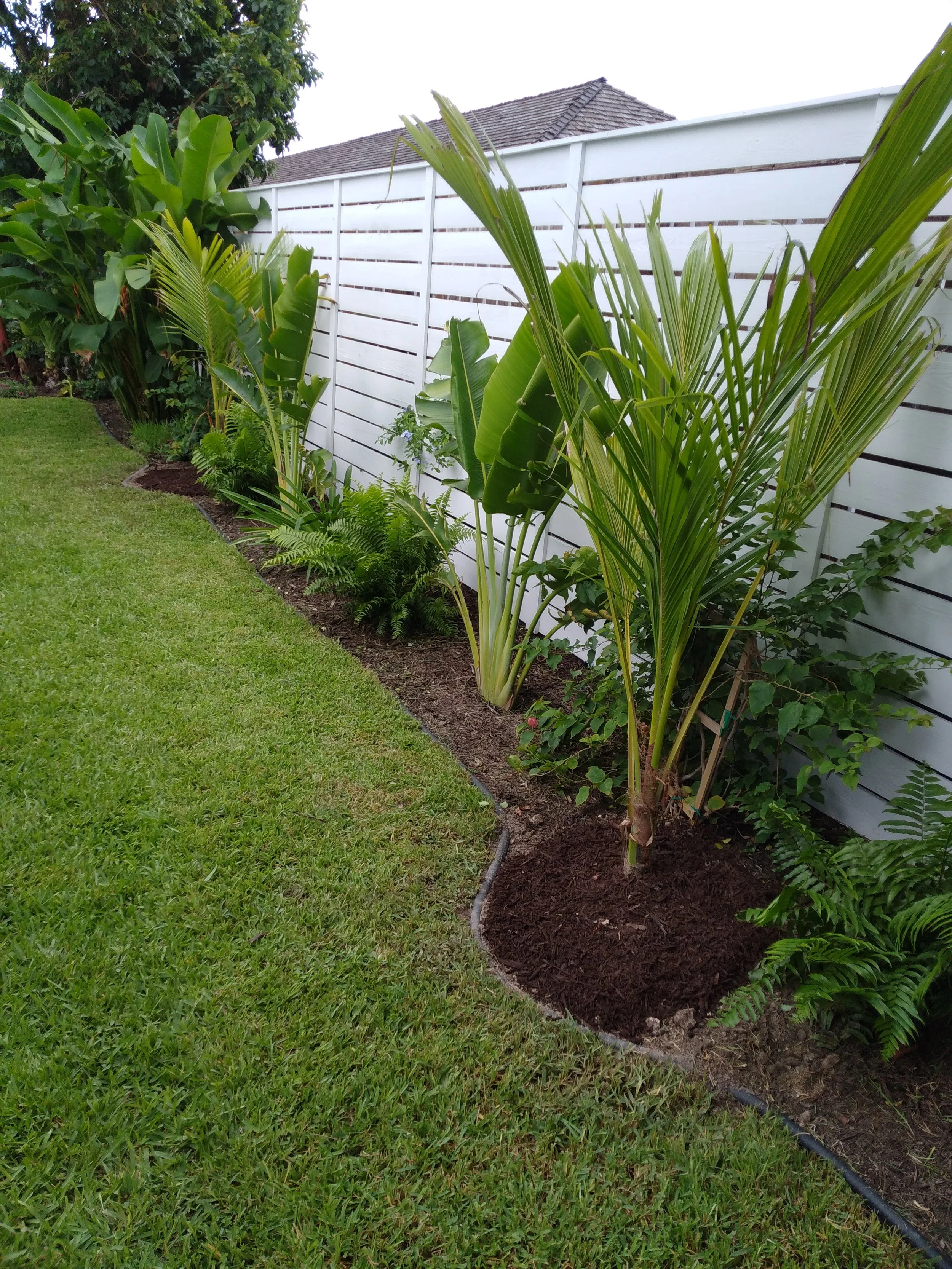 Thurstons Lumberjack Landscaping Bahamas
