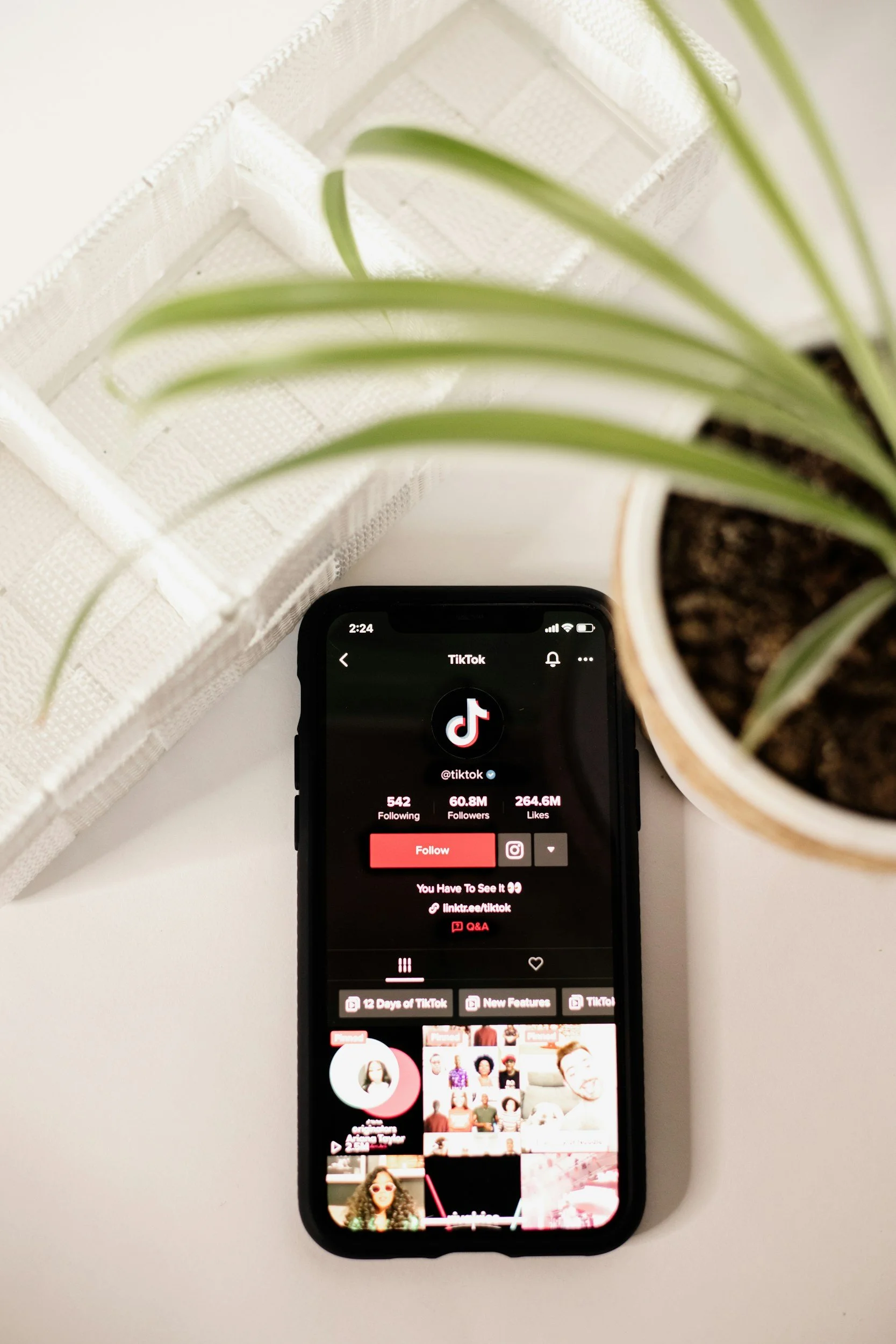 A smartphone displaying the TikTok profile page with 542 following, 60.8 million followers, and 264.6 million likes, on a white surface surrounded by a potted plant and a white textured rectangular container.