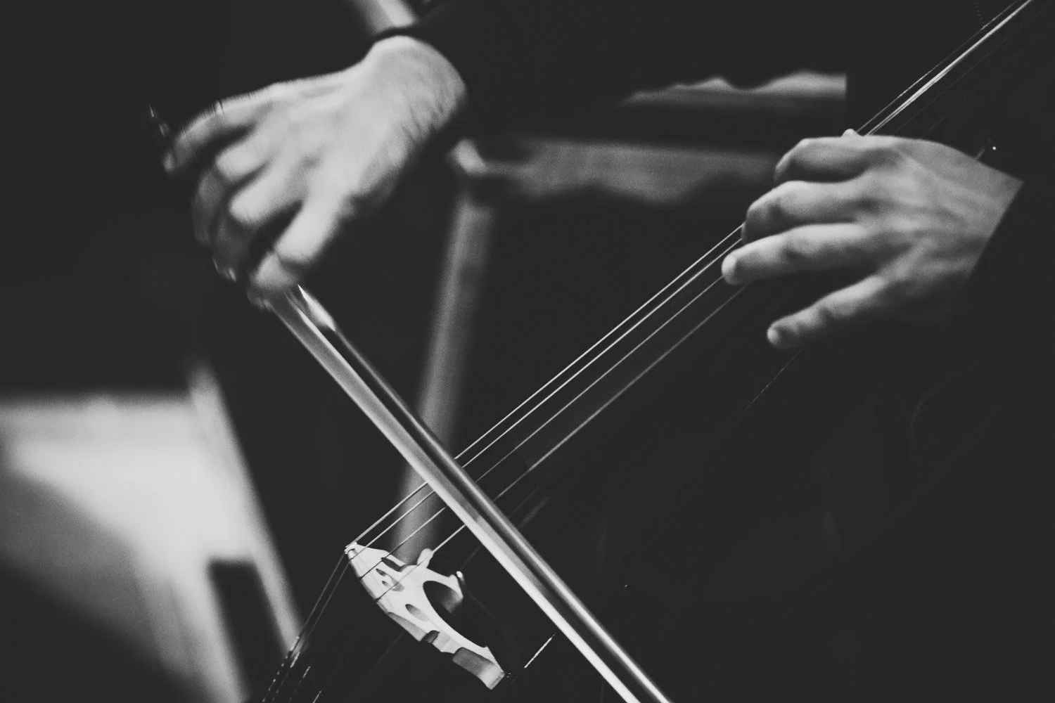 Vino Patagonia 2019 0444.jpg