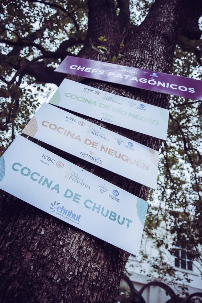 Vino Patagonia 2019 0053.jpg