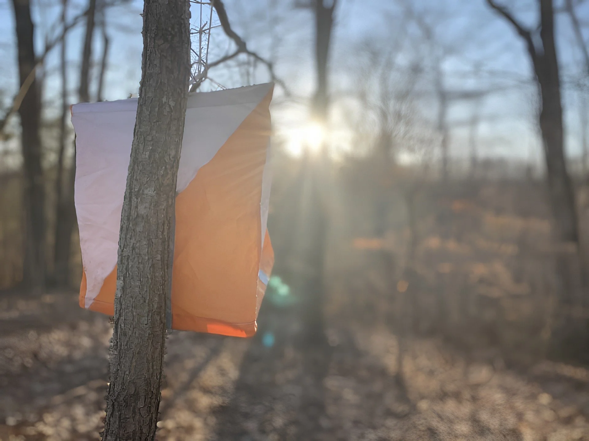 after hours sunset.jpg