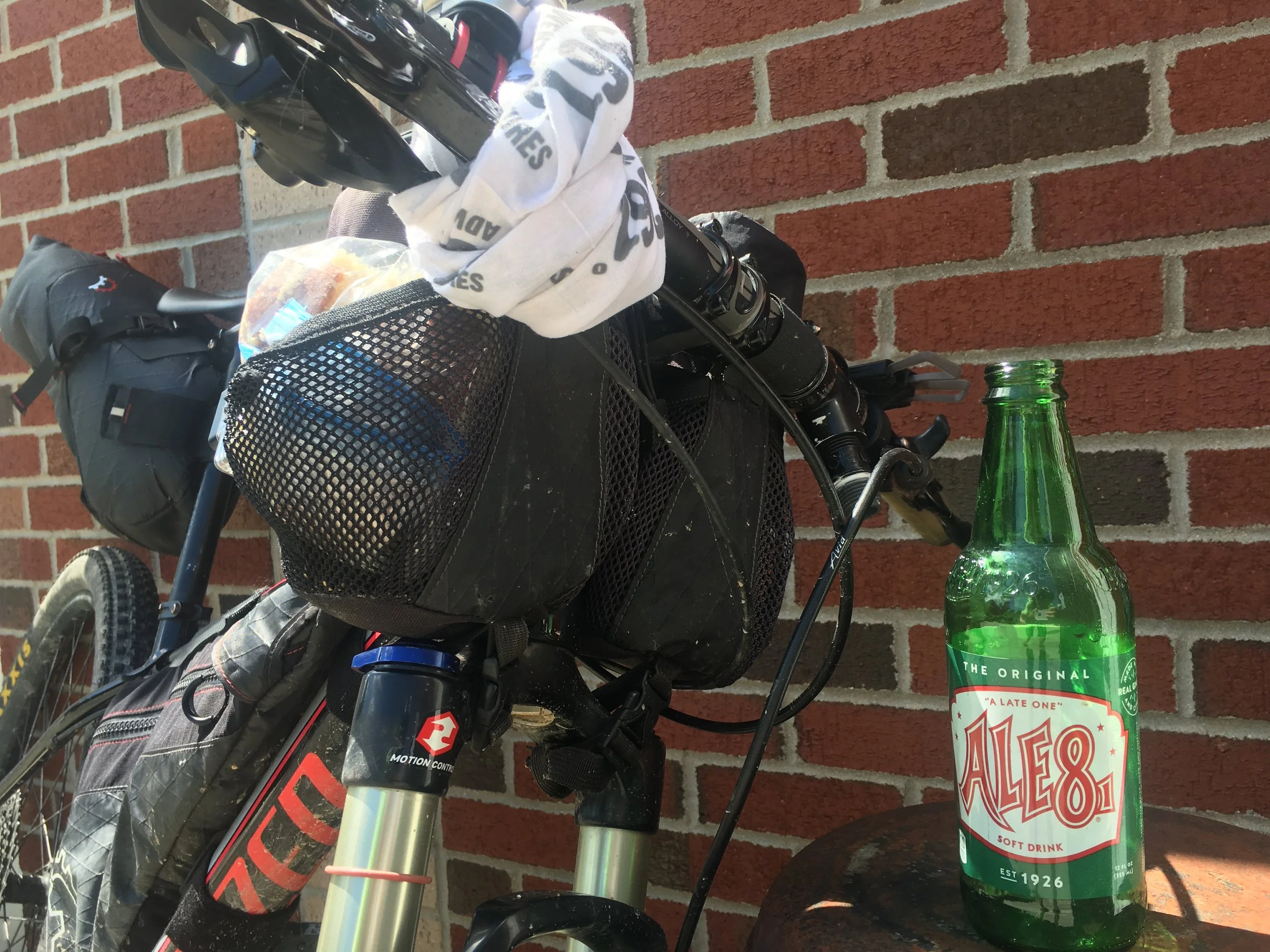 ale 8.JPG