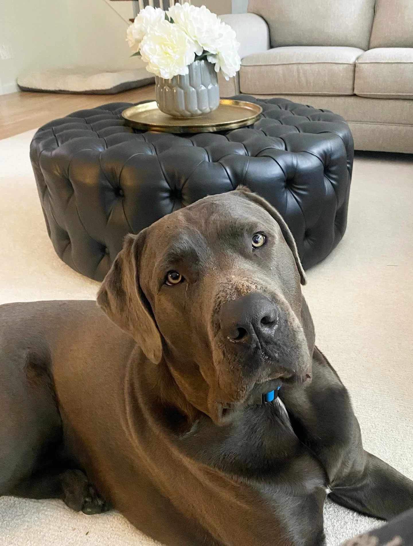 Frankie is such a sweetie