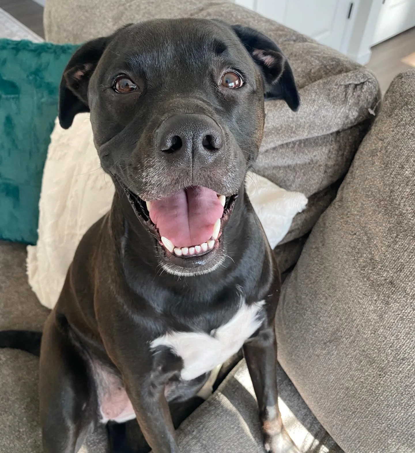 Millie is a happy girl!