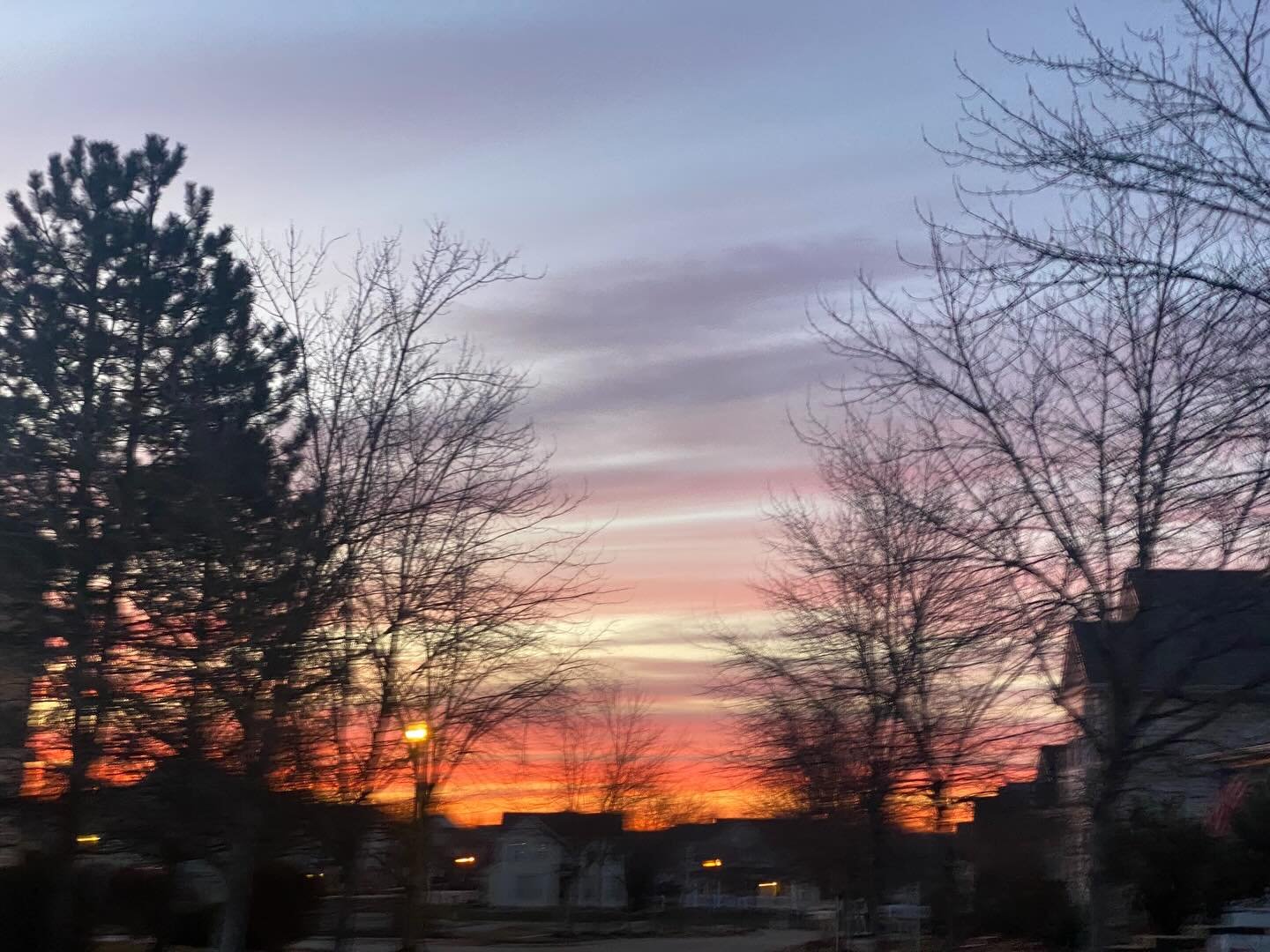 Early morning walkies are the best with this view