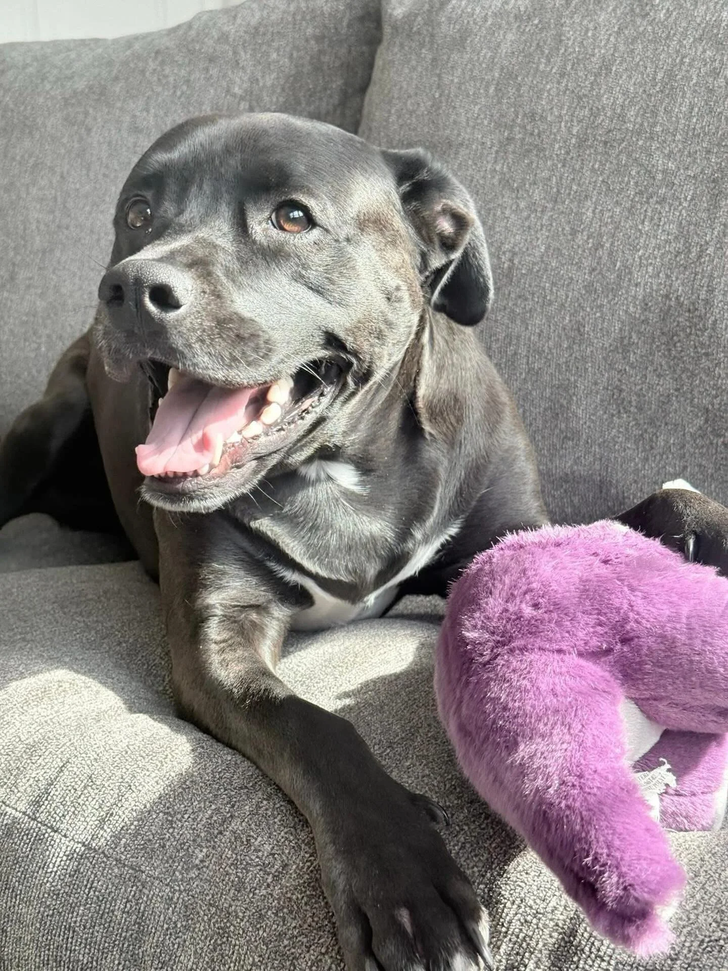 Indoor games are underrated 💜