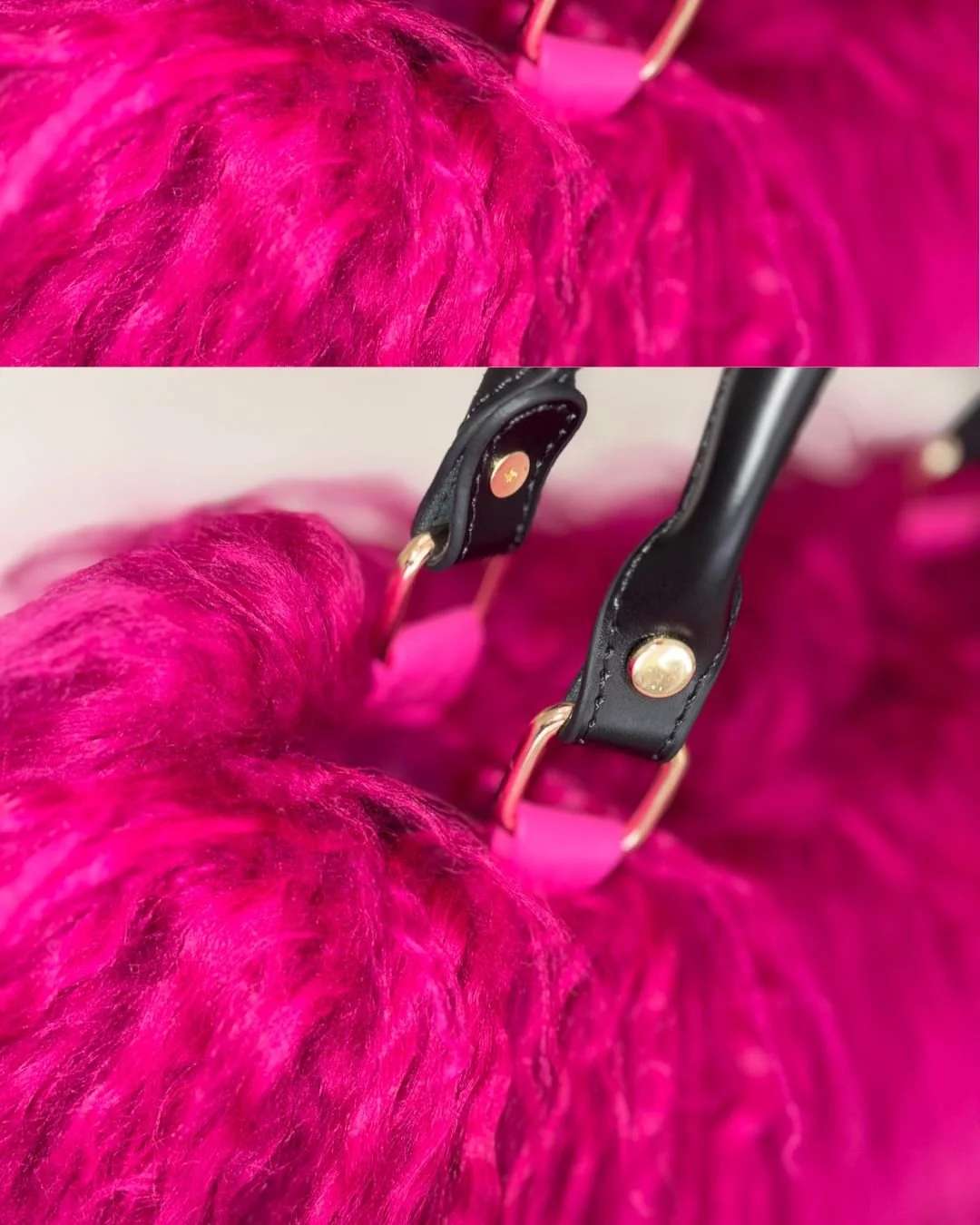 Your Emotional Support-33.jpg