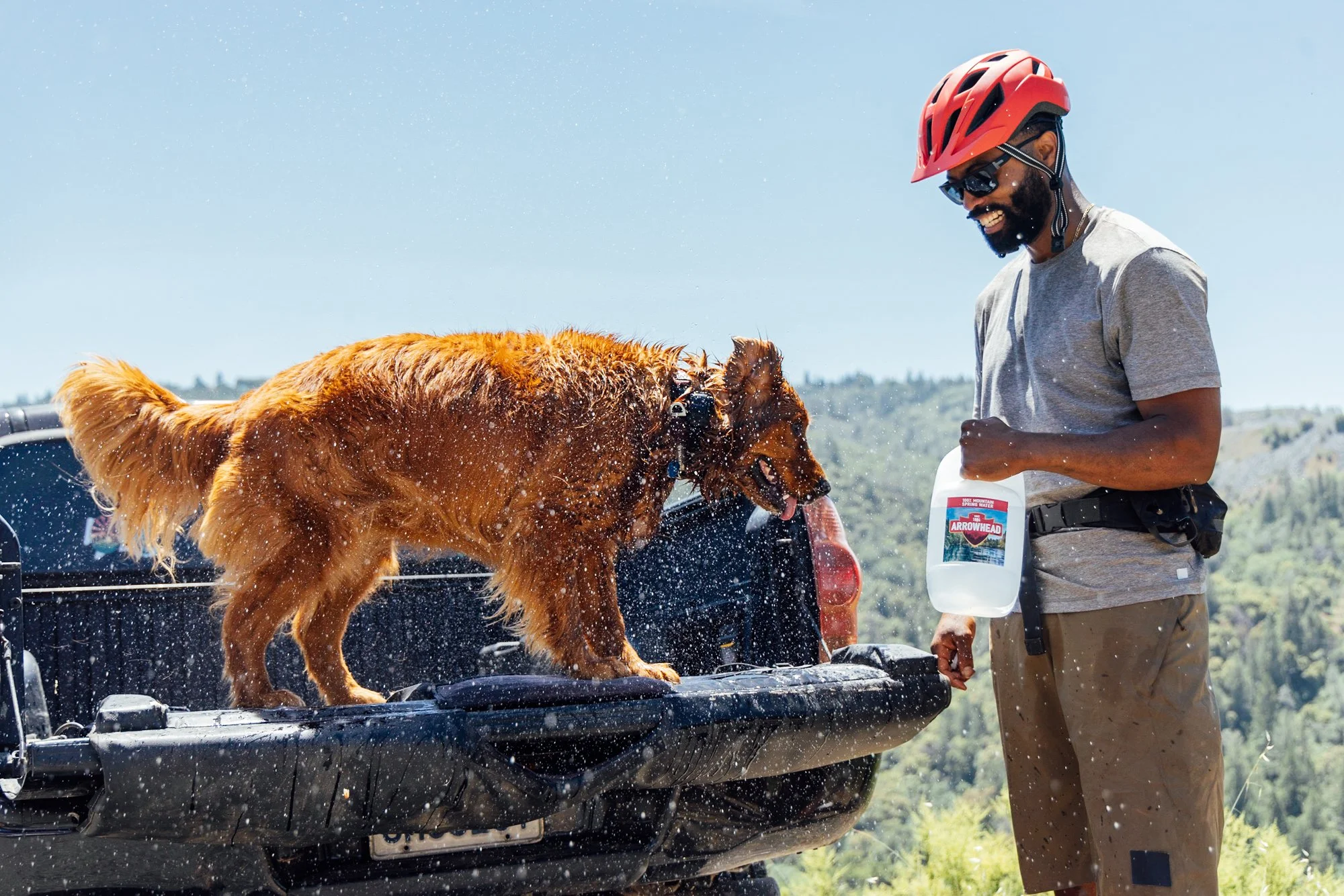 A man with a red helmet and sunglasses holding a large bottle of spring water while a wet golden retriever stands on the tailgate of a pickup truck, with water splashing around on a sunny day.