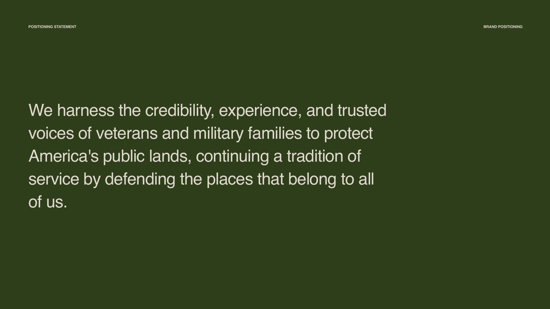 VFPL brand book: positioning statement