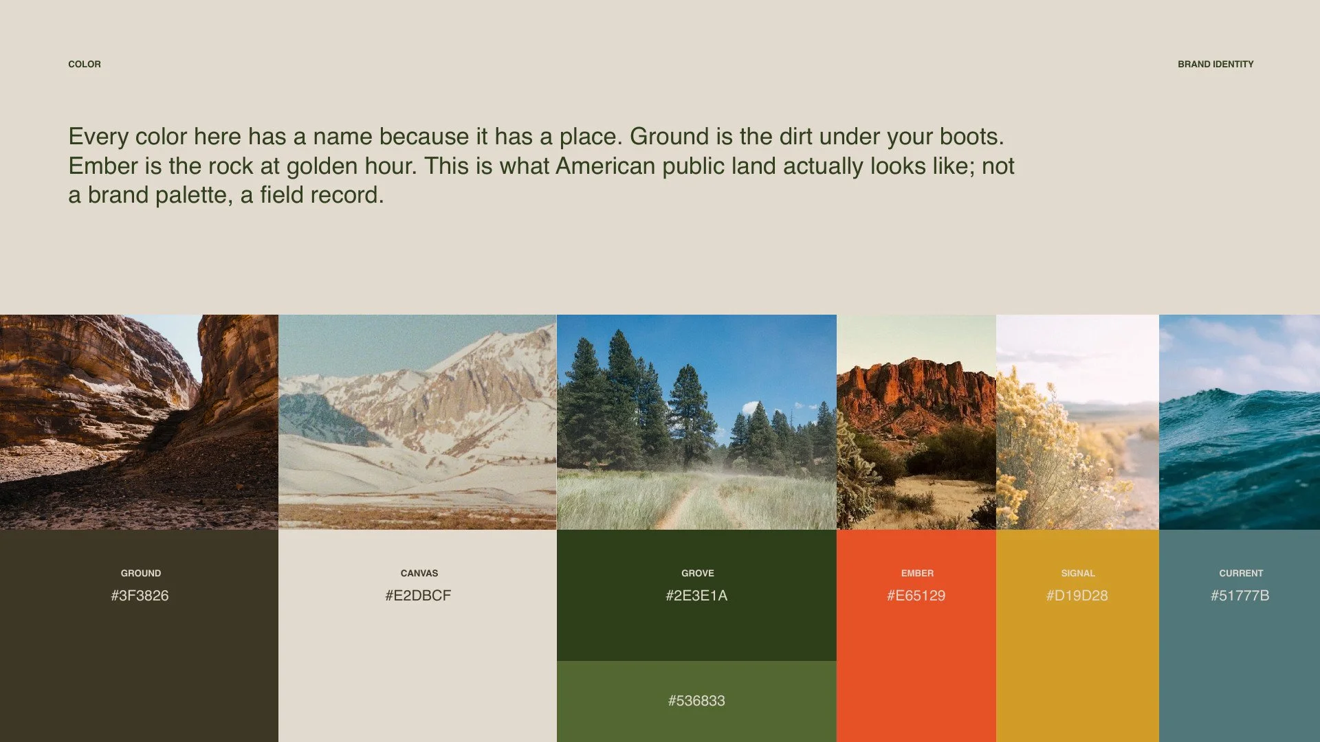 VFPL brand book: color palette drawn from public lands