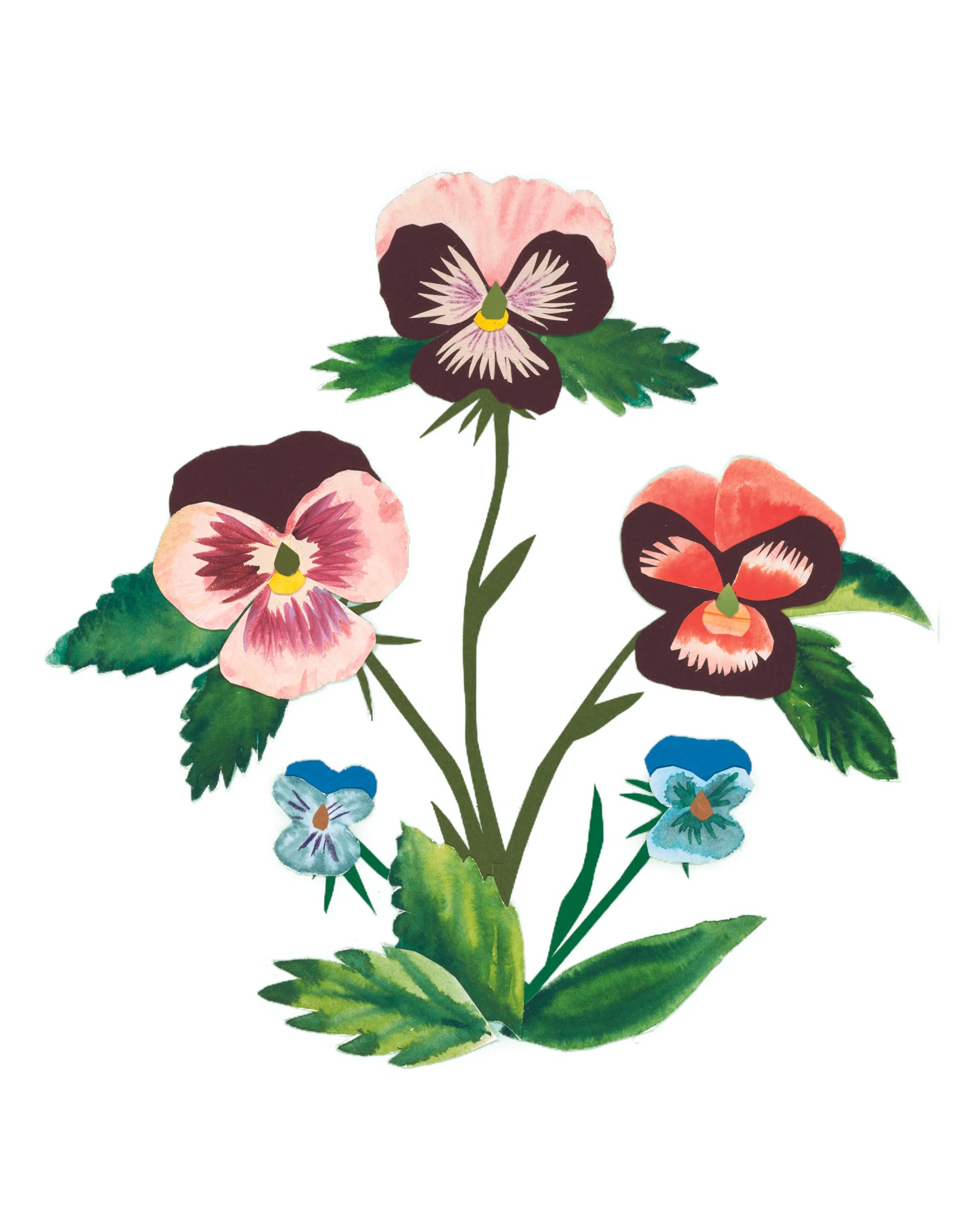 Twice Bloomed Print edition final.jpg
