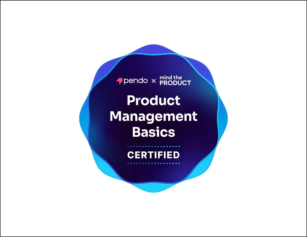 Project Management Basics - sai cheekireddy