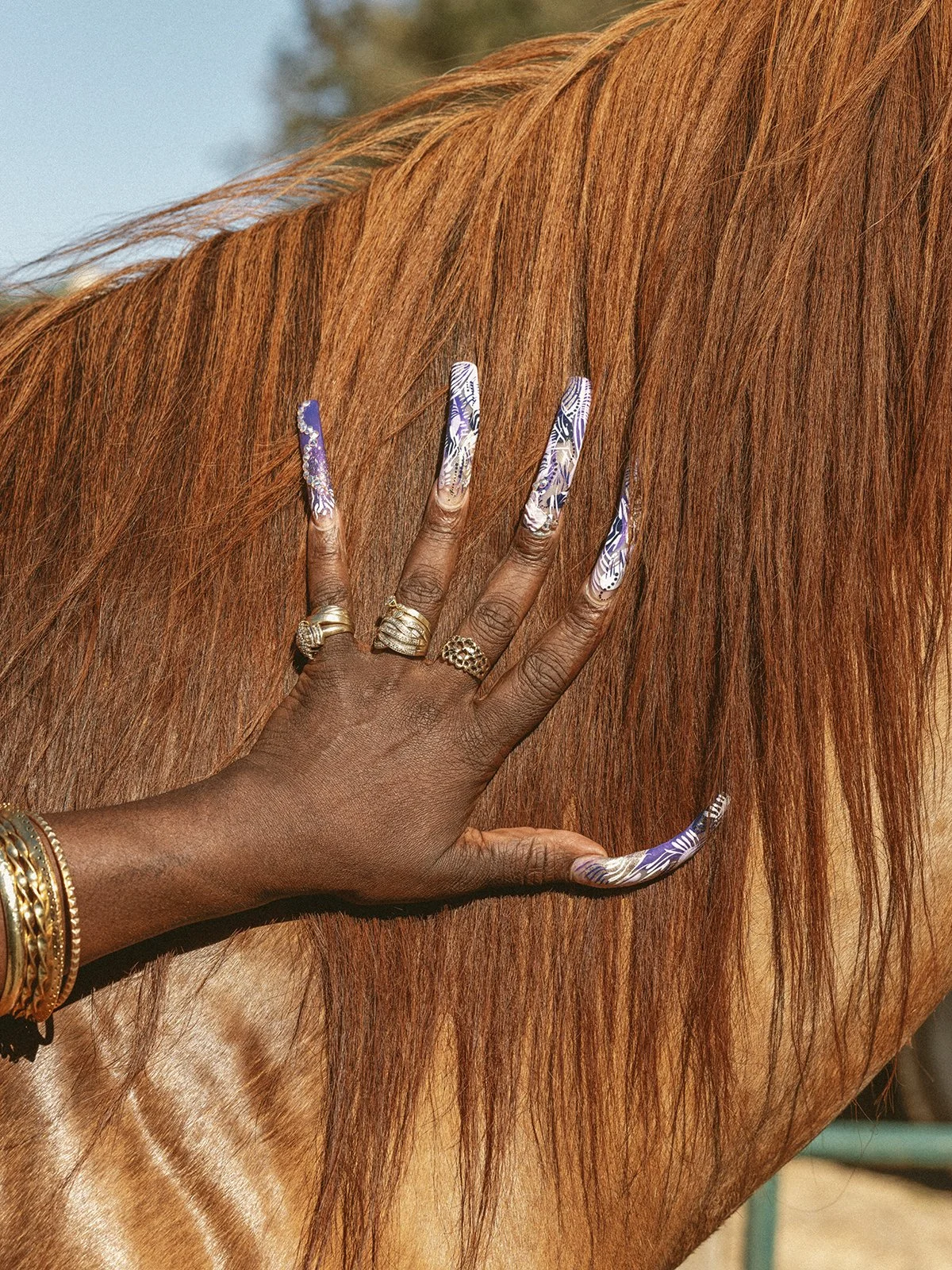 A person's hand with decorative nails and gold jewelry touching a chestnut-colored horse's mane.