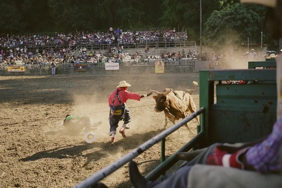 A rodeo event with a cowboy, dressed in red and black checkered shirt and cowboy hat, stopping a charging bull that has just knocked down a rider in the dirt arena. Spectators are seated in bleachers in the background.